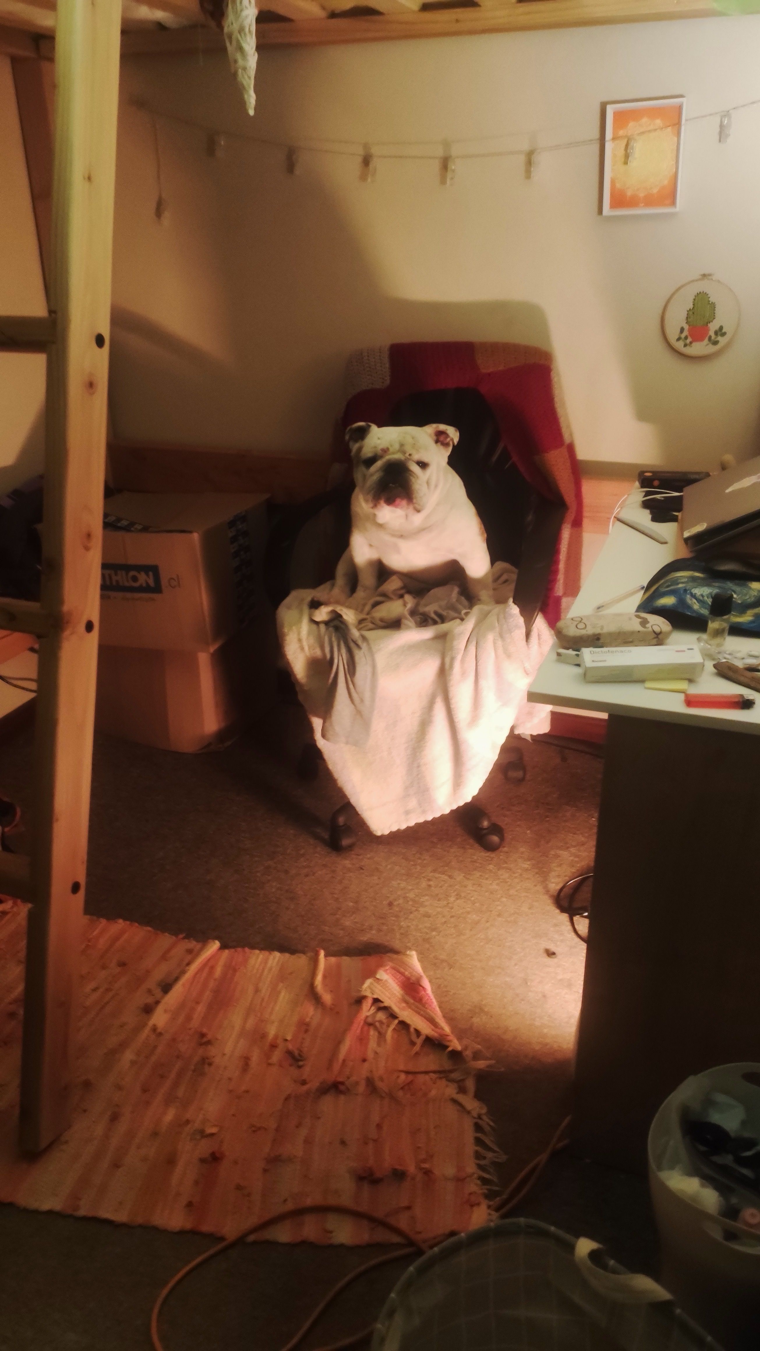 image-11