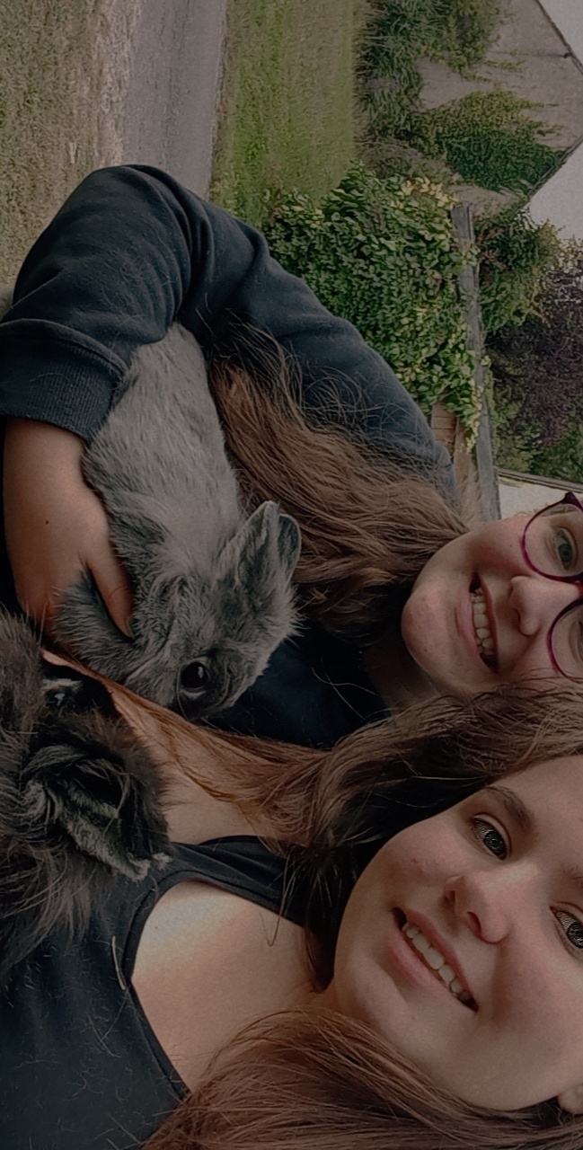 image-8