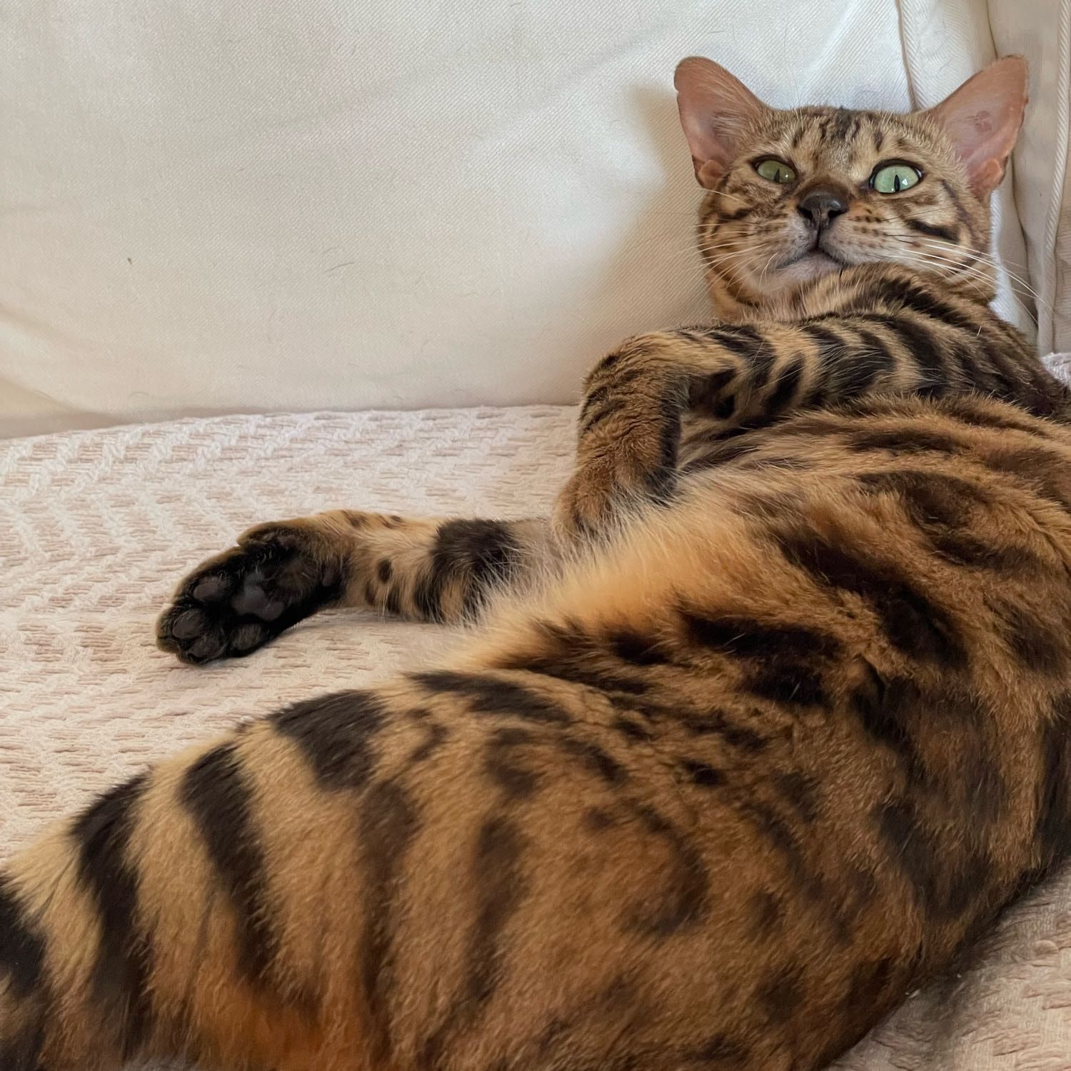 Alaska