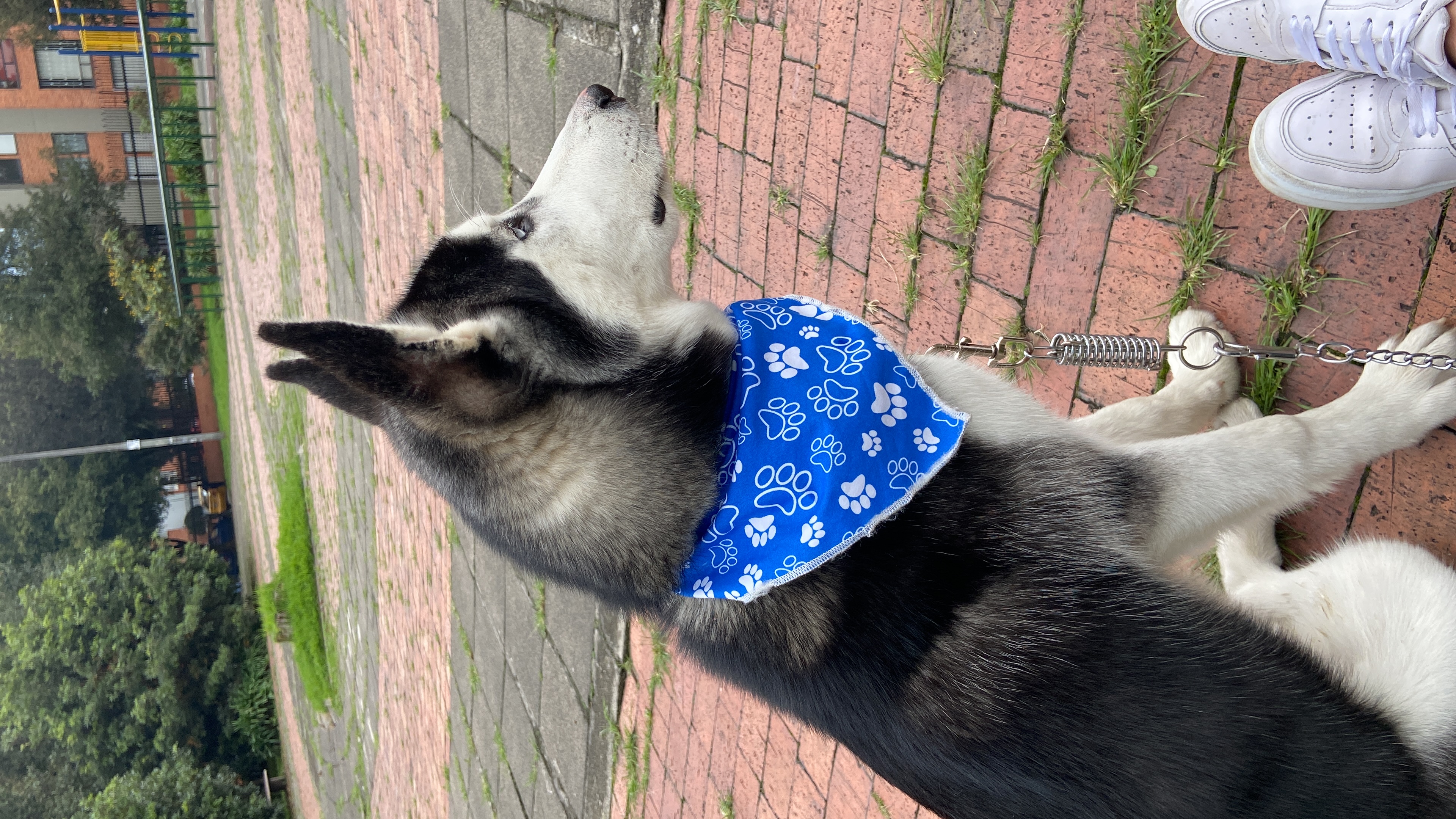 image-10