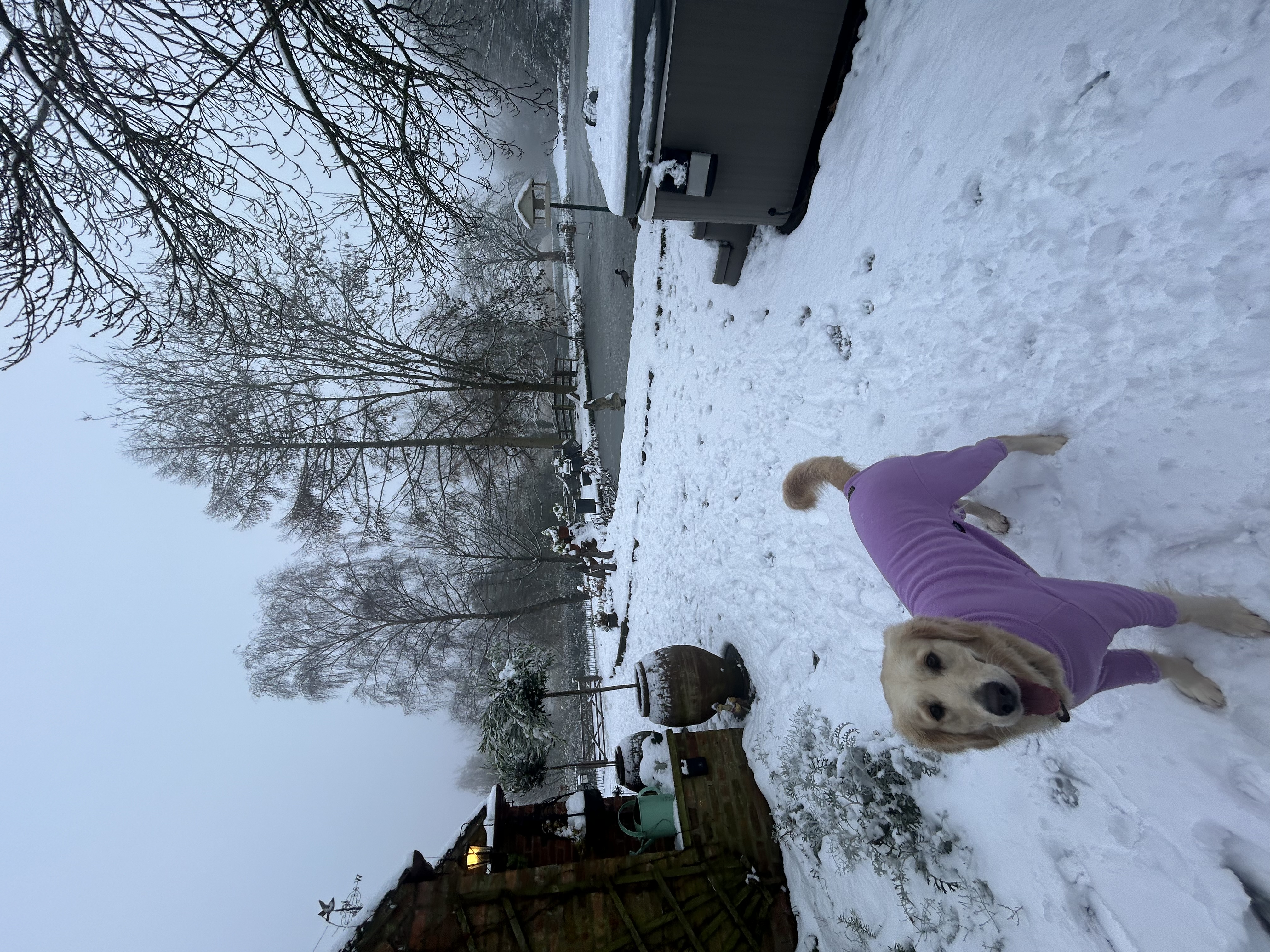 image-17