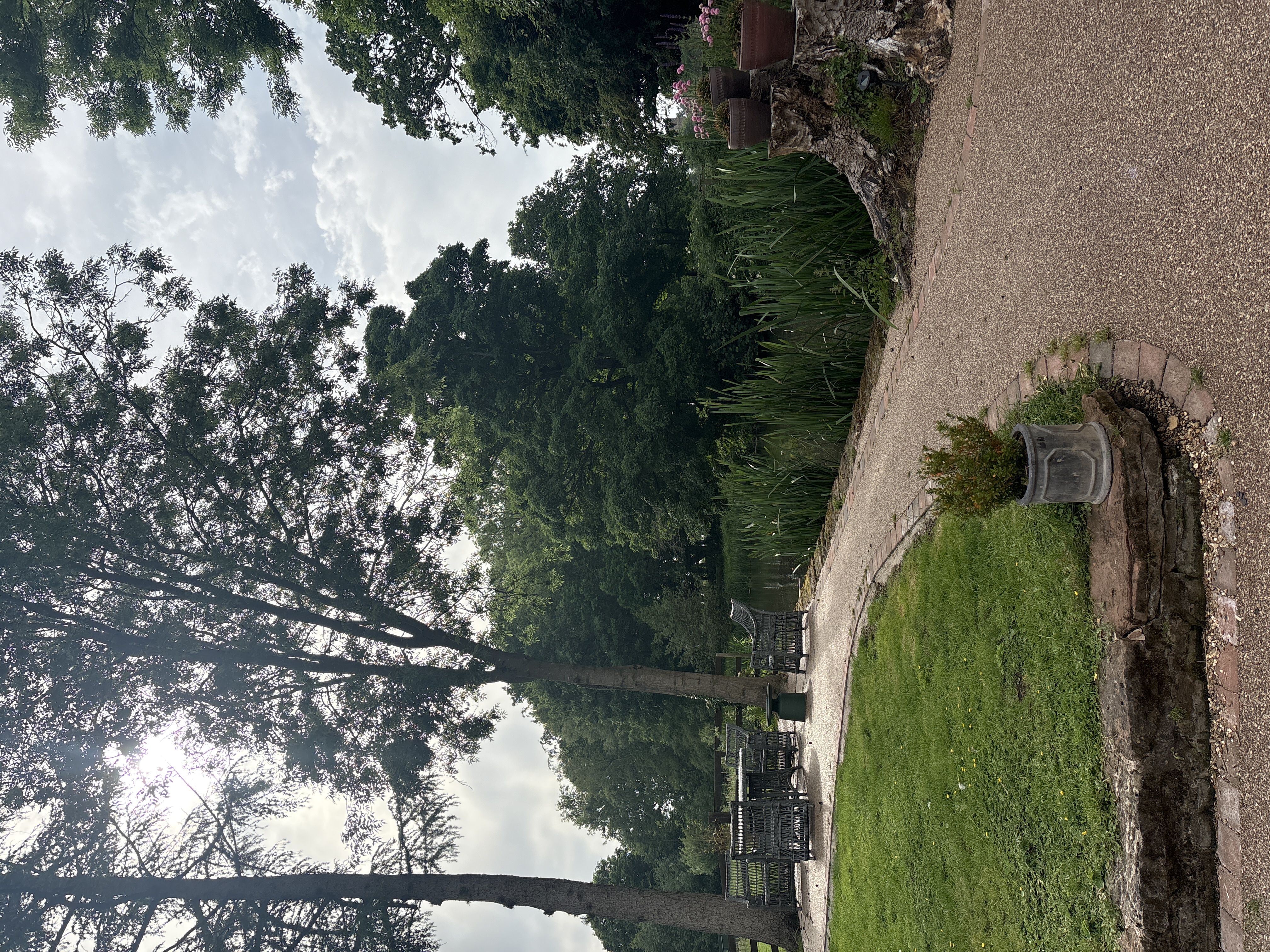 image-21