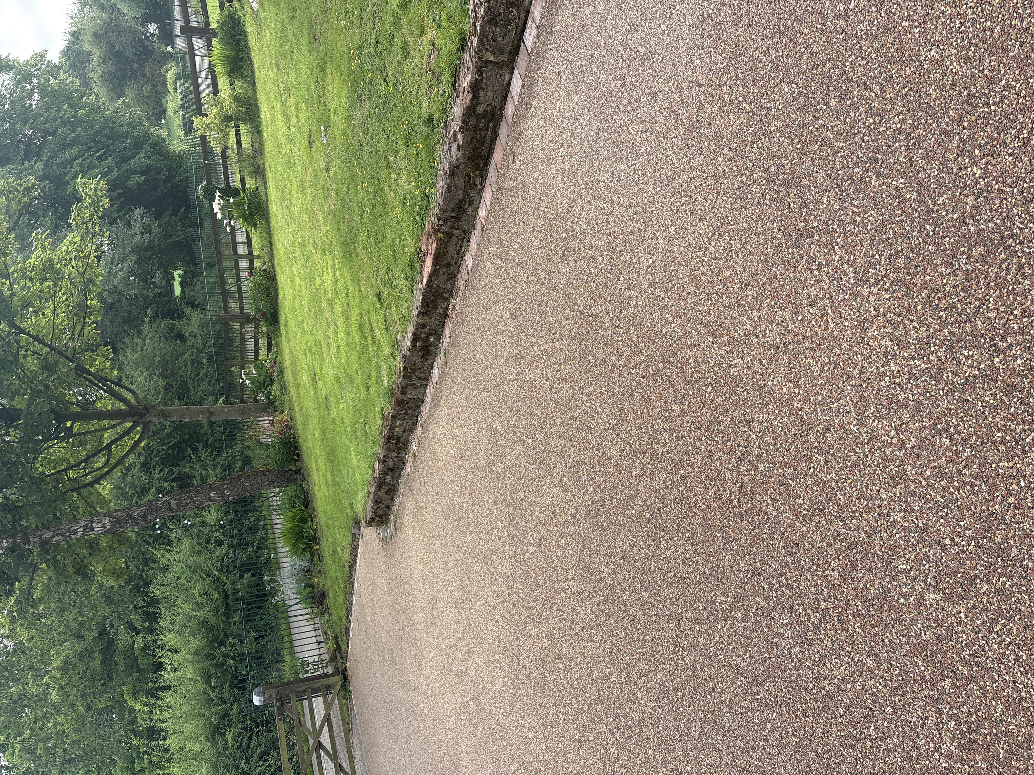 image-20