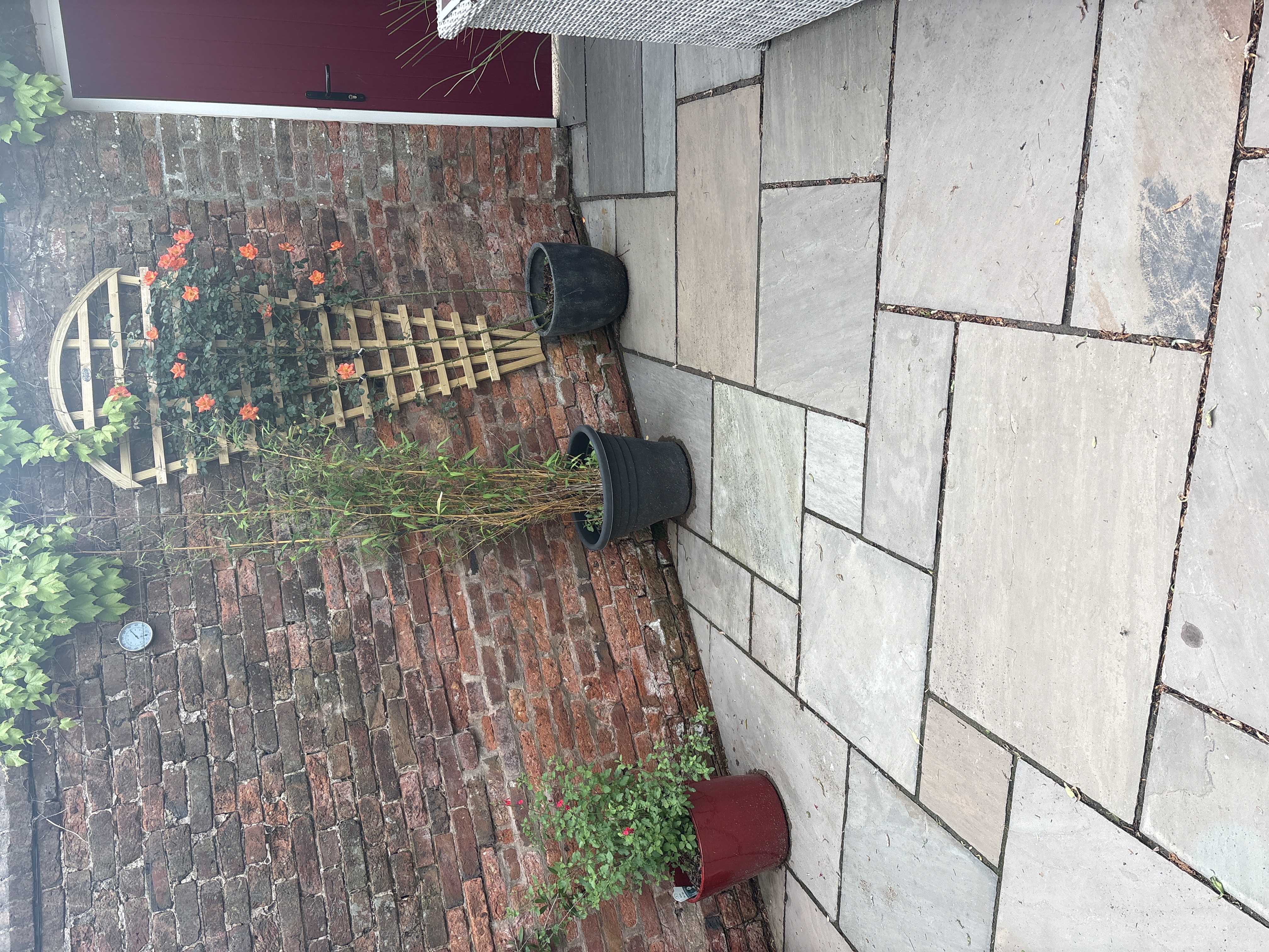 image-19