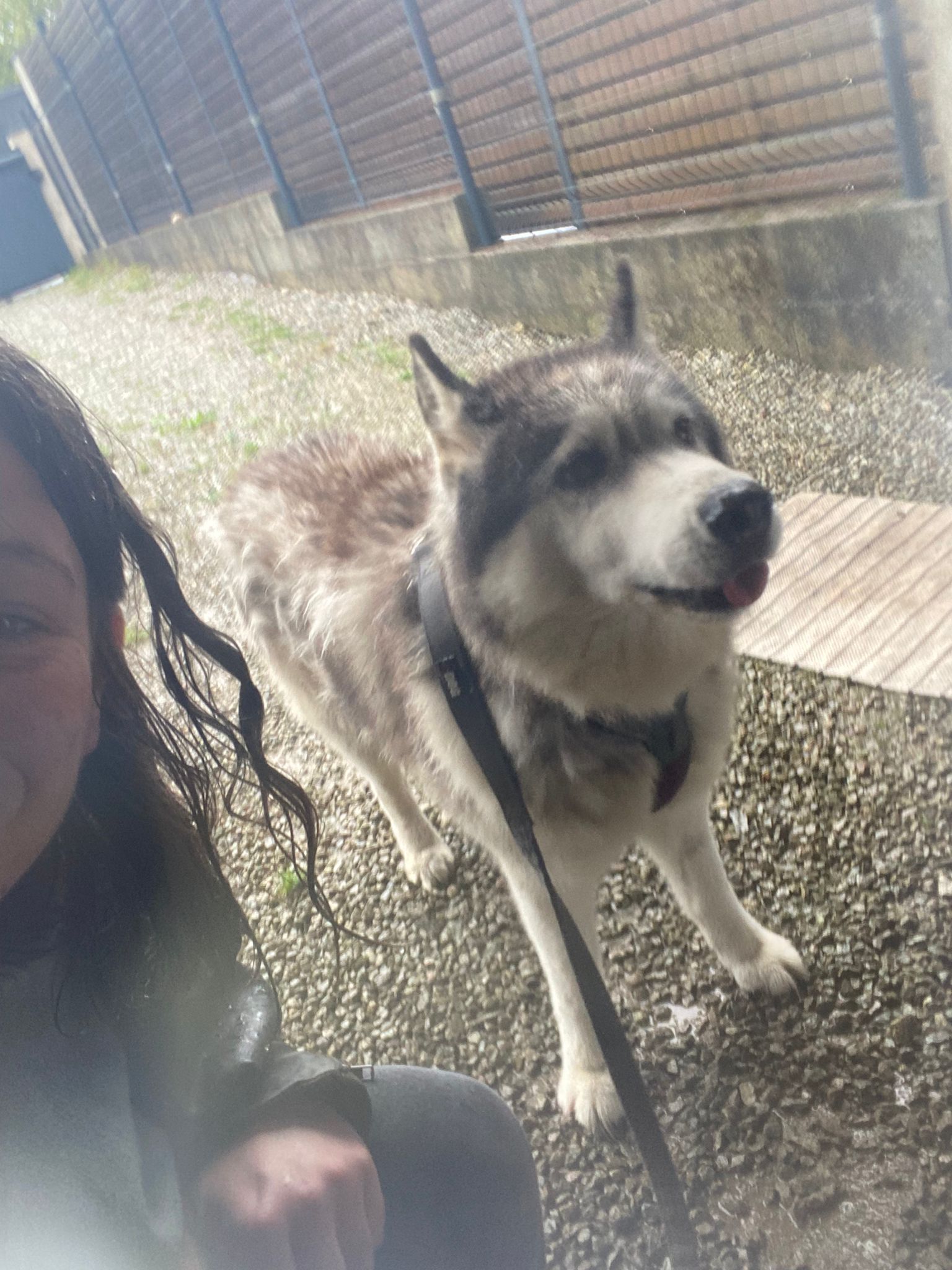 image-9