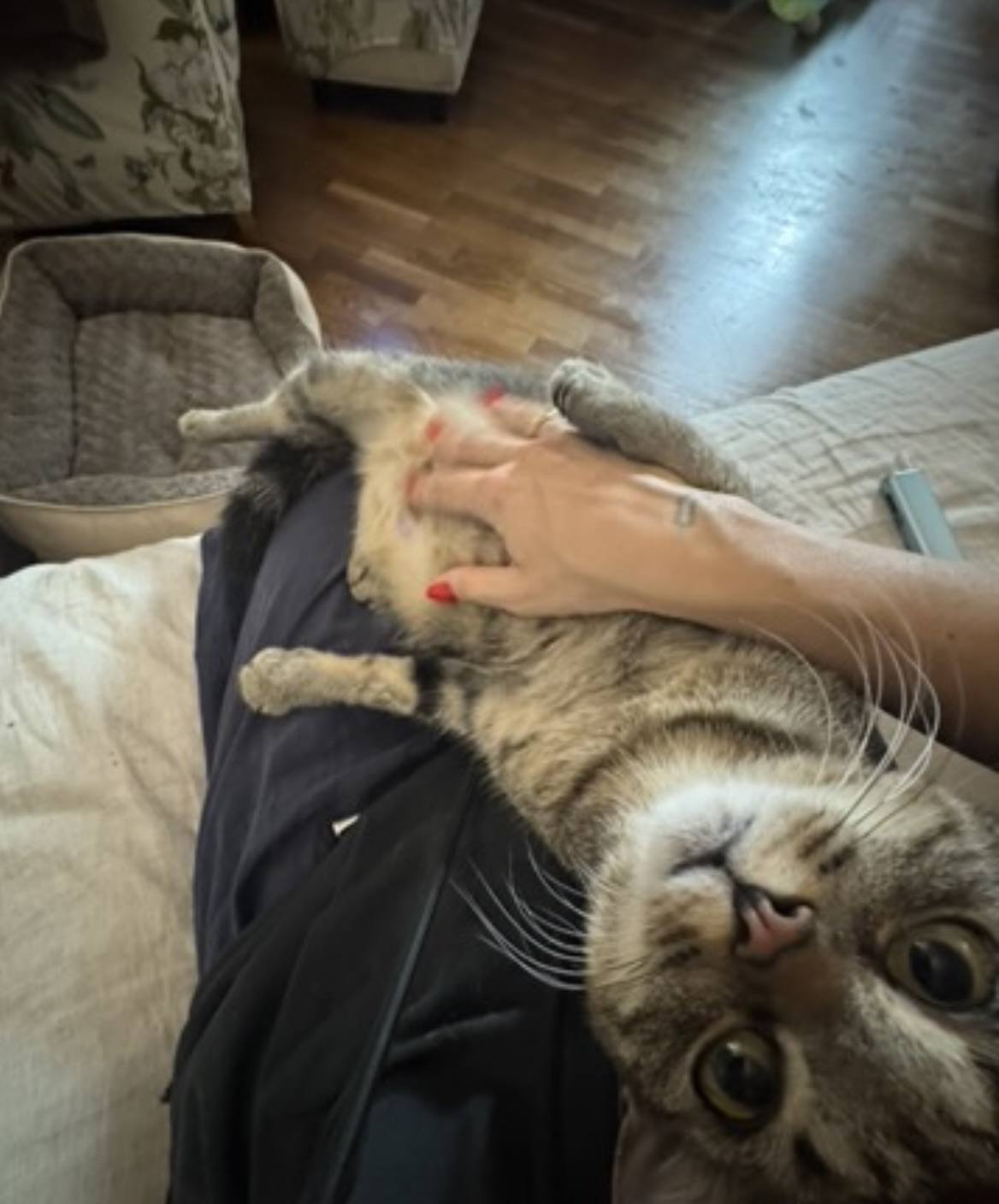 image-8