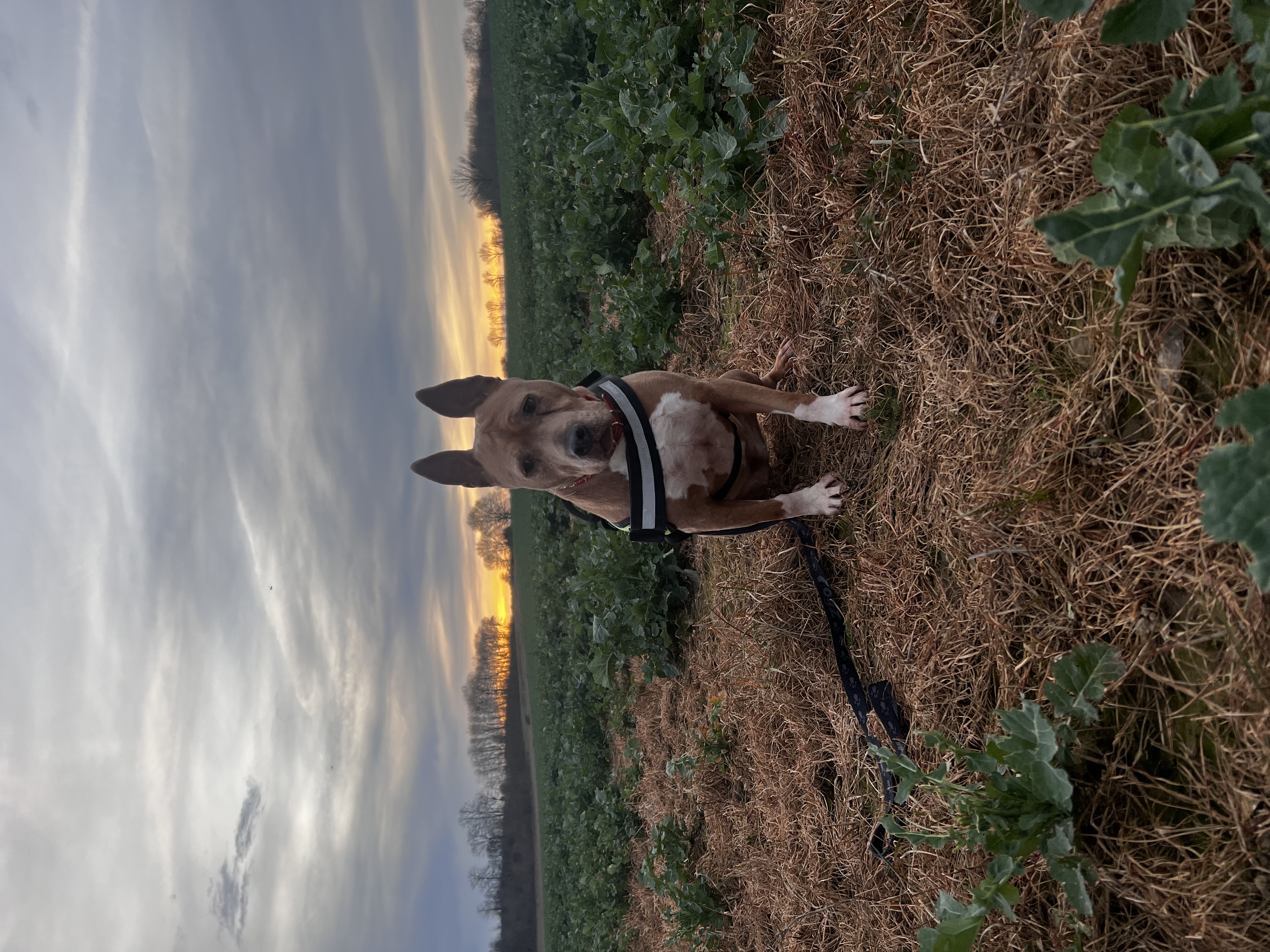 image-14