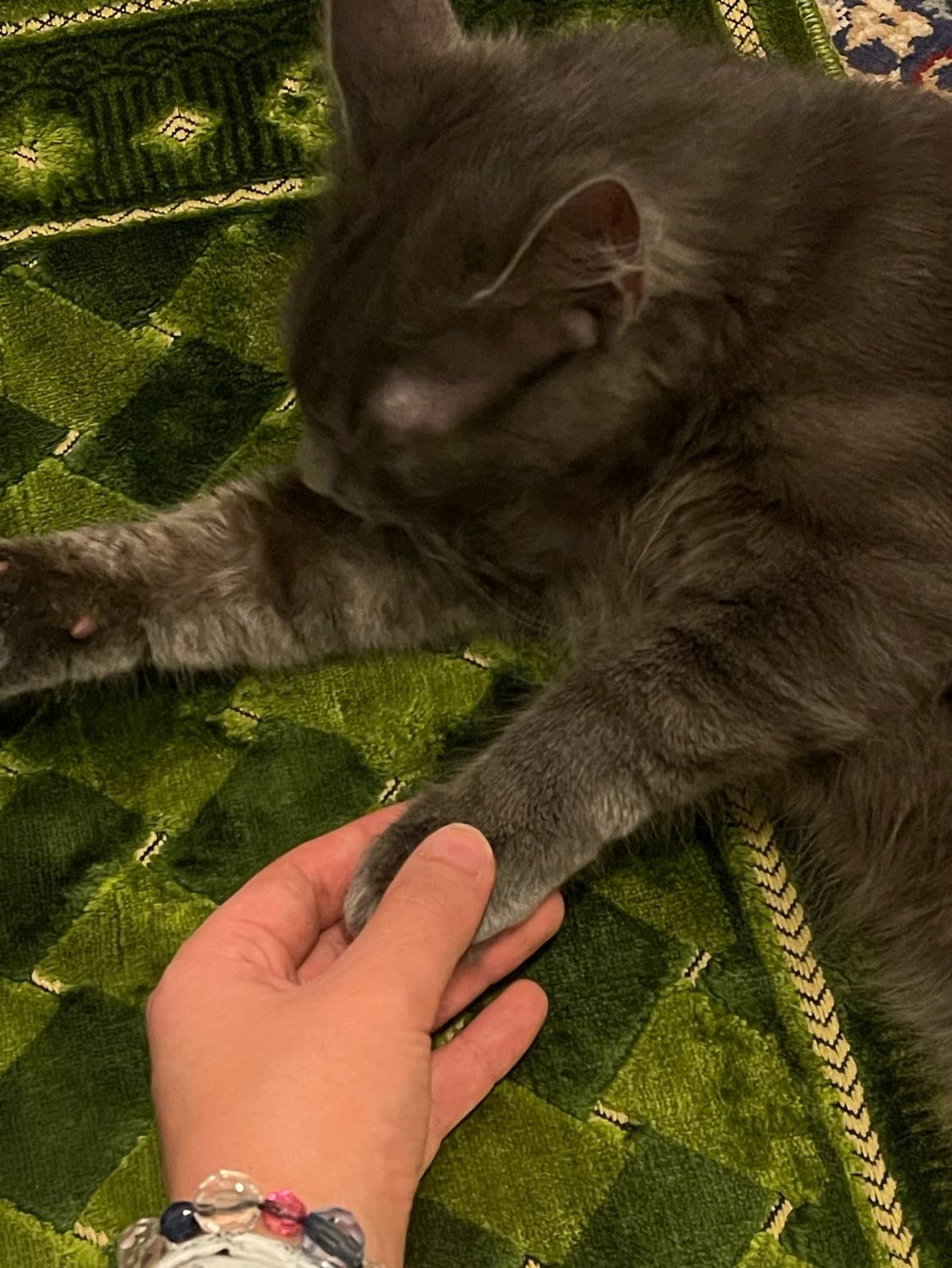 image-6