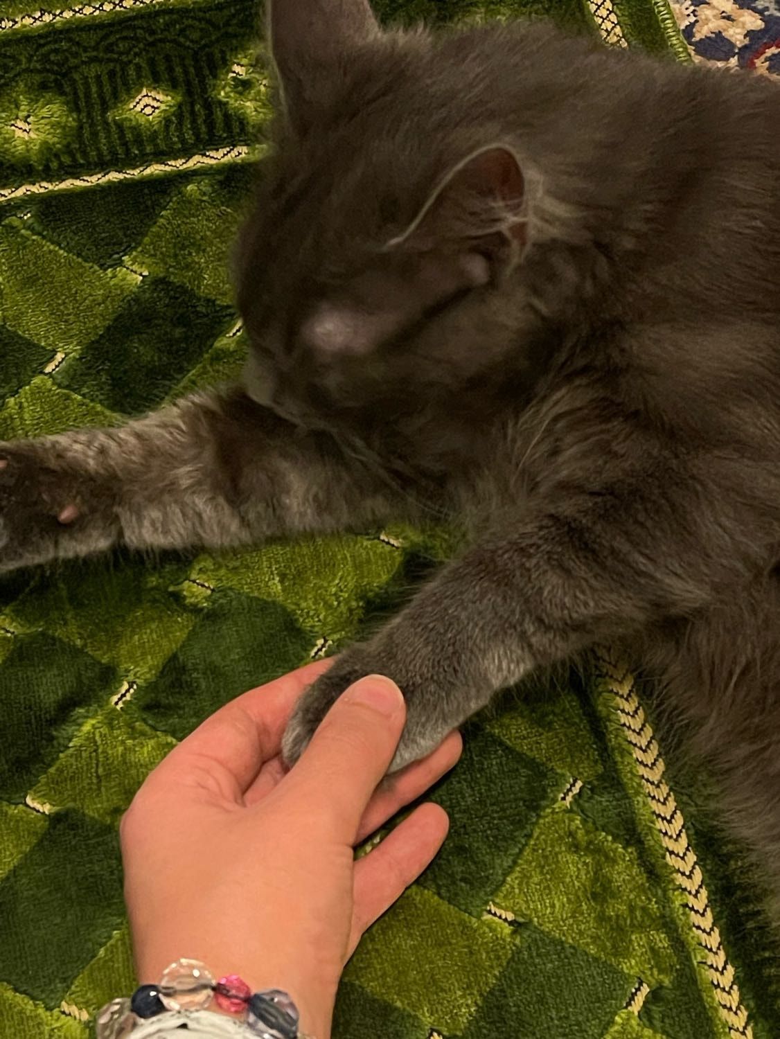 image-6