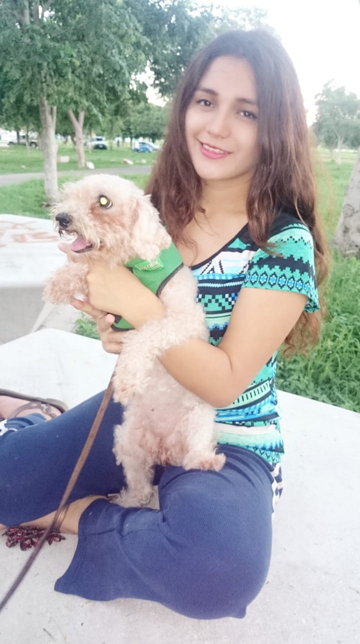 image-8