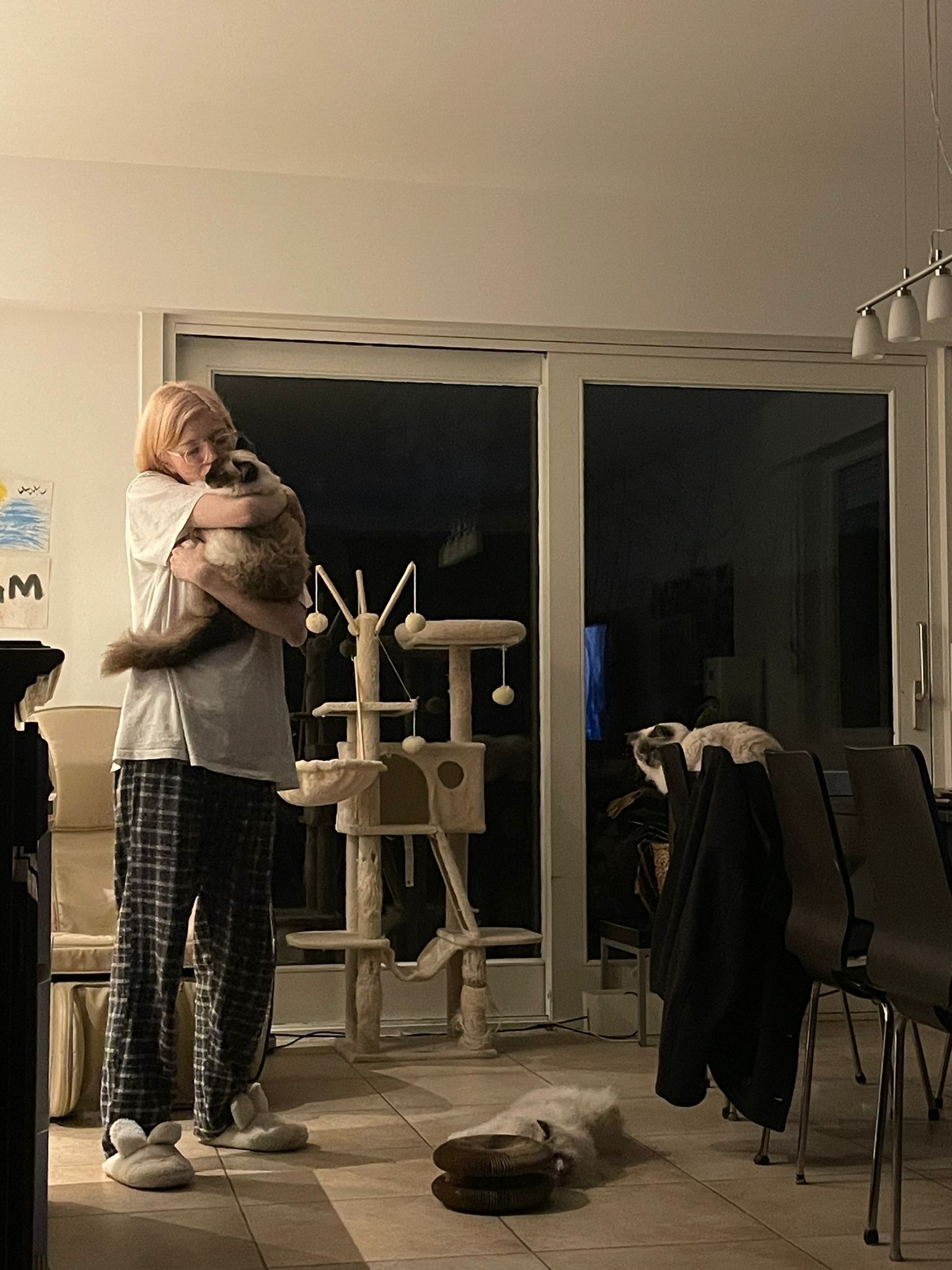 image-13
