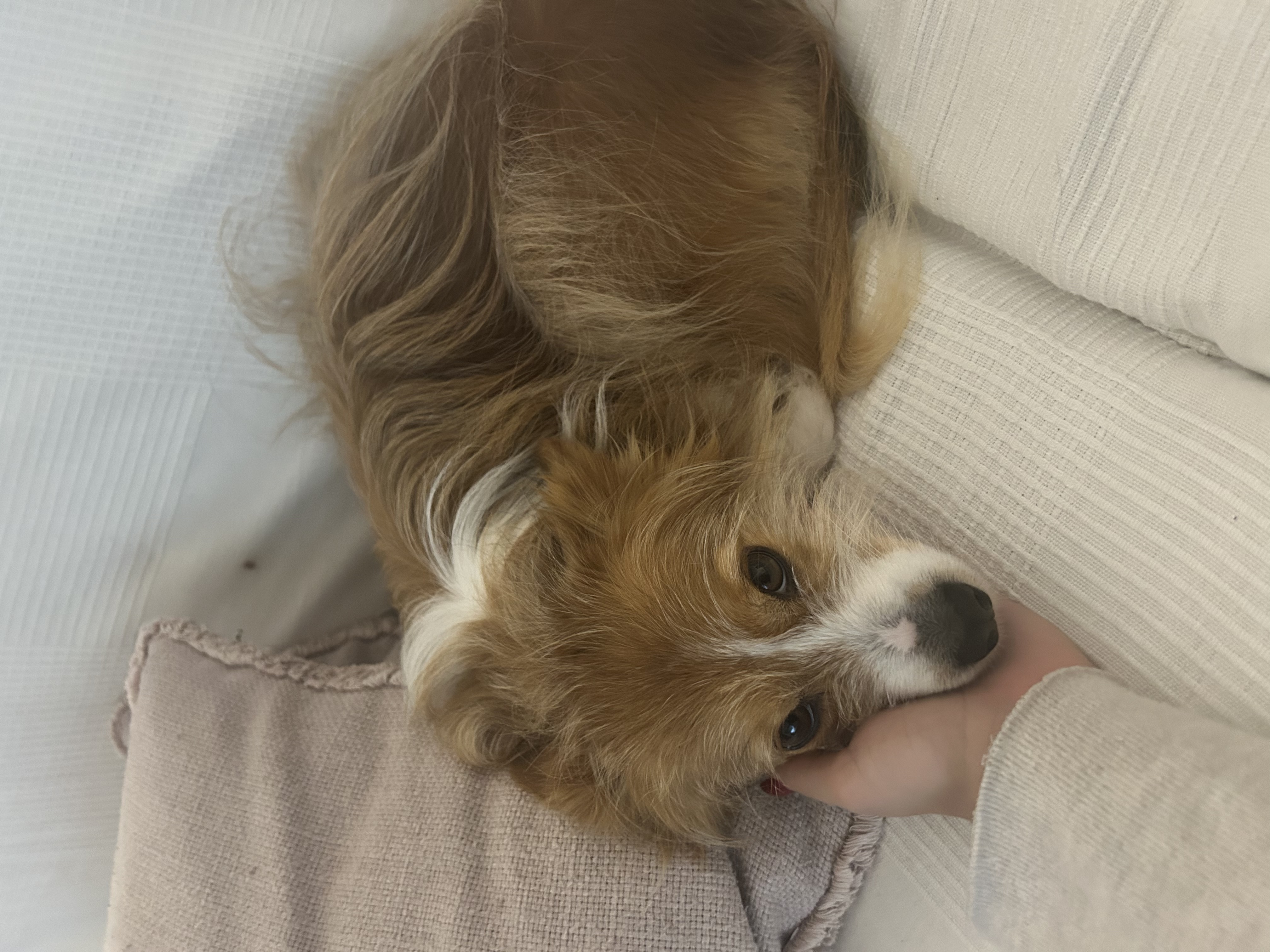 image-6
