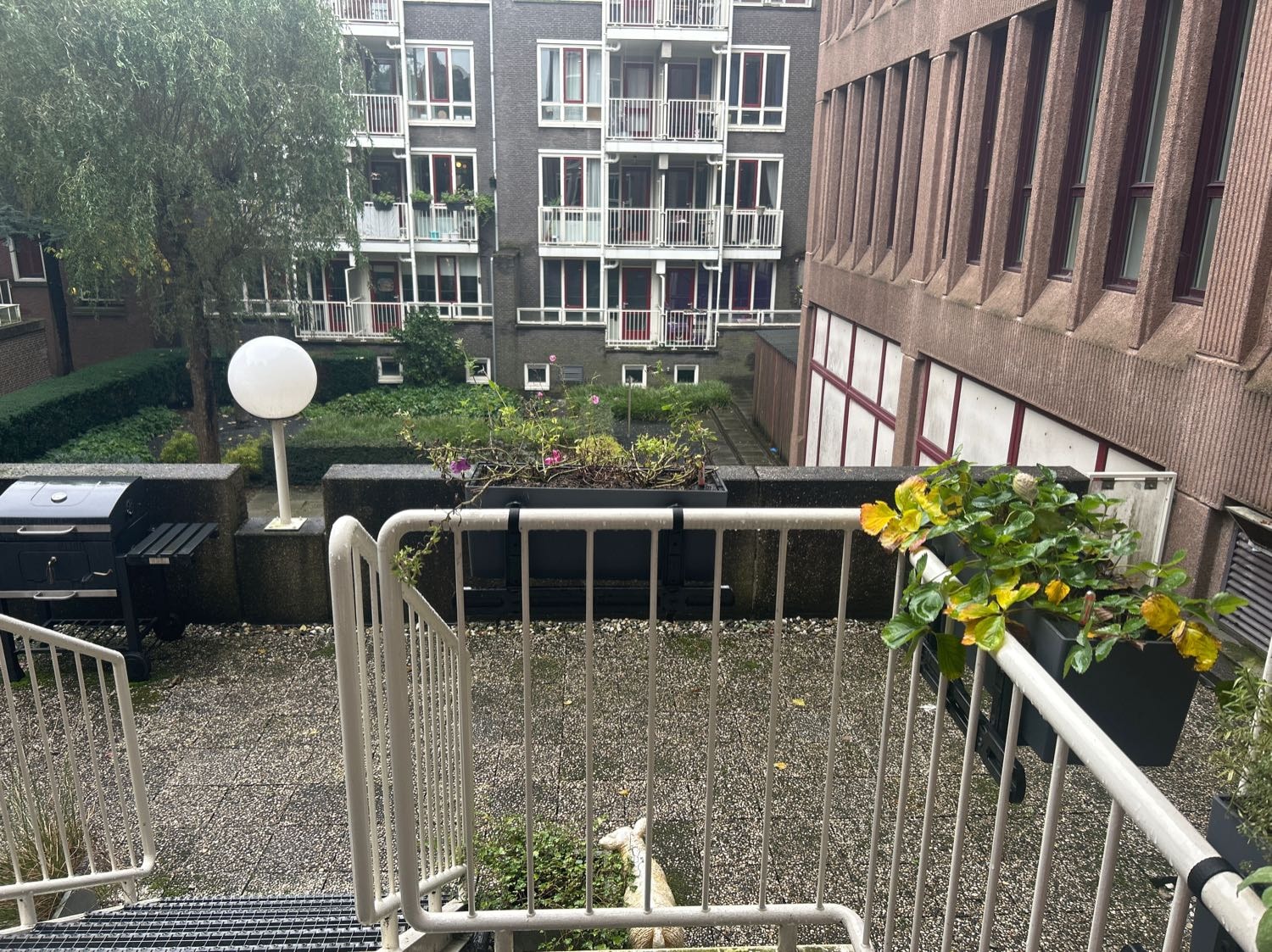 image-5