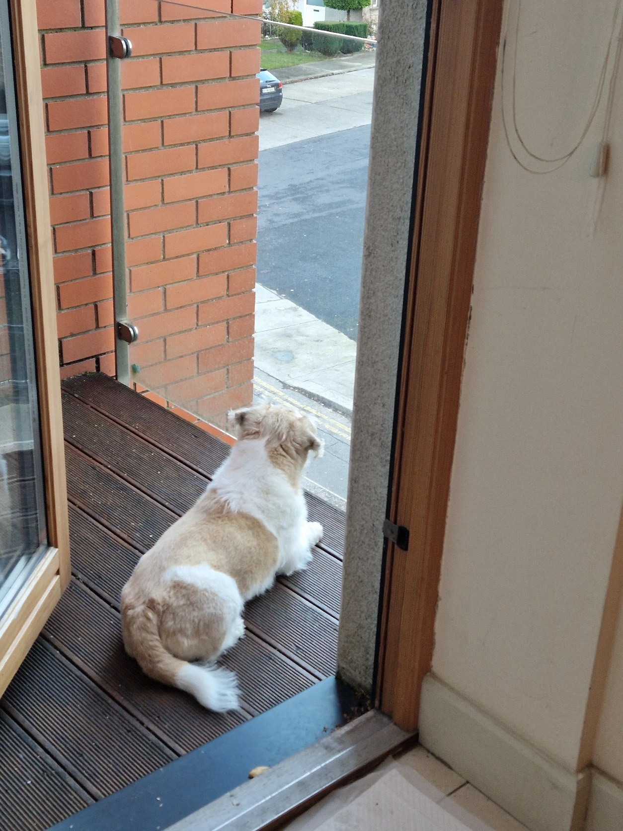 image-15