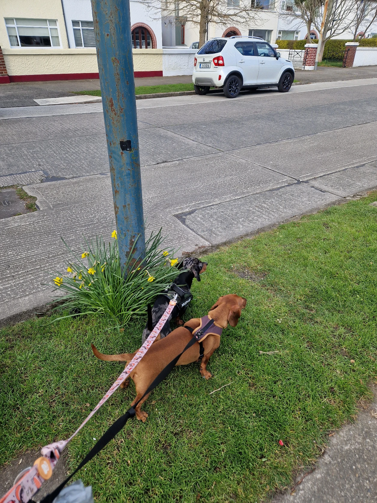 image-11