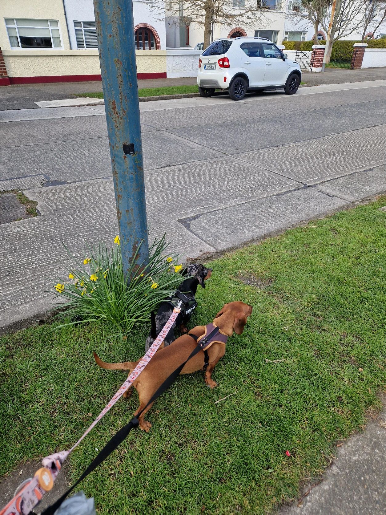 image-11