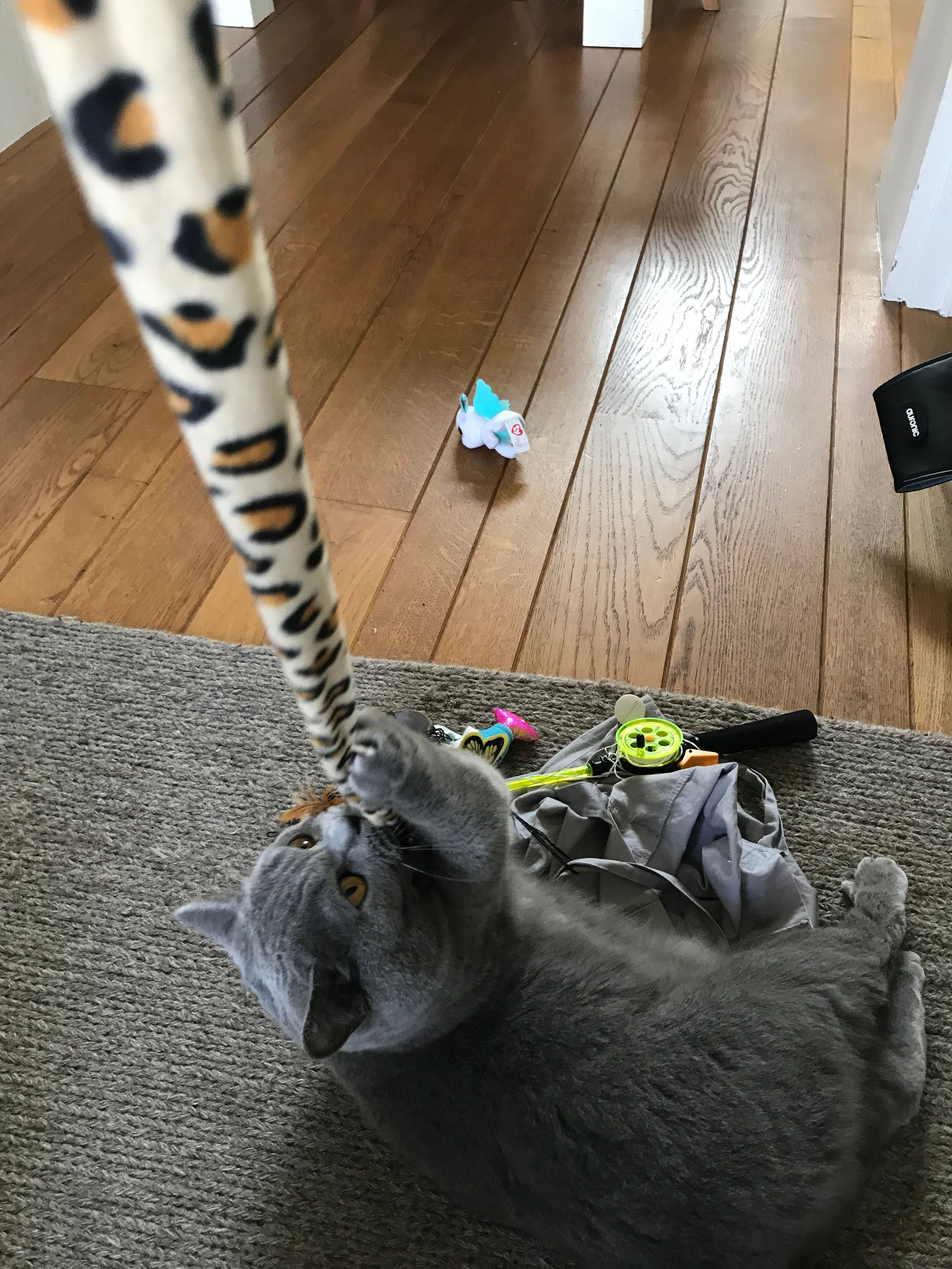 image-11