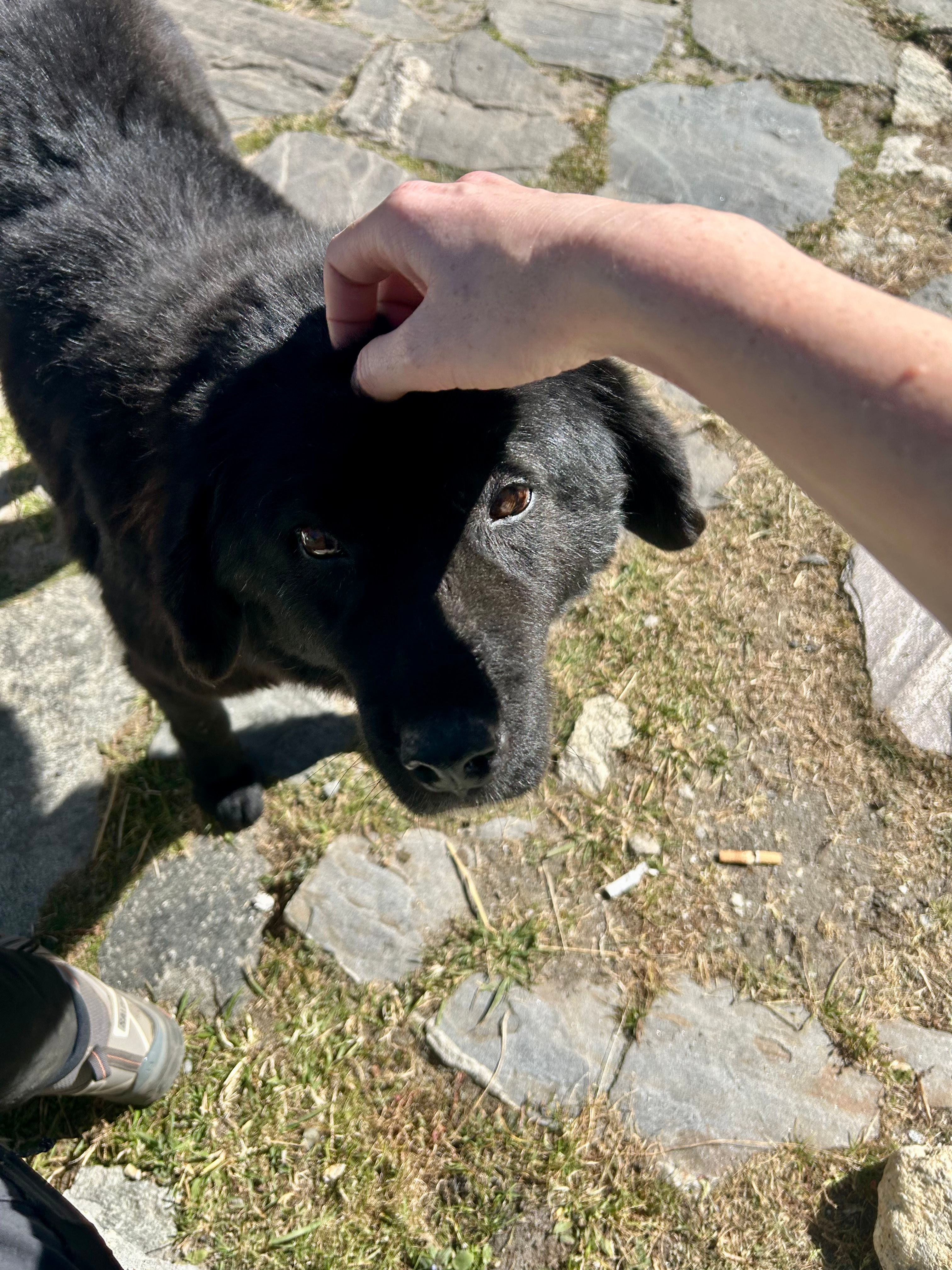 image-8