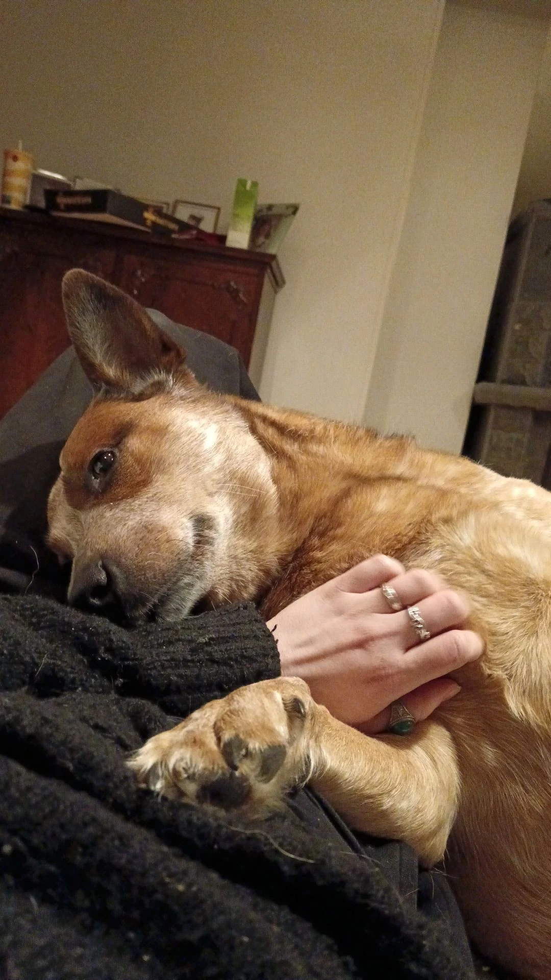 image-5