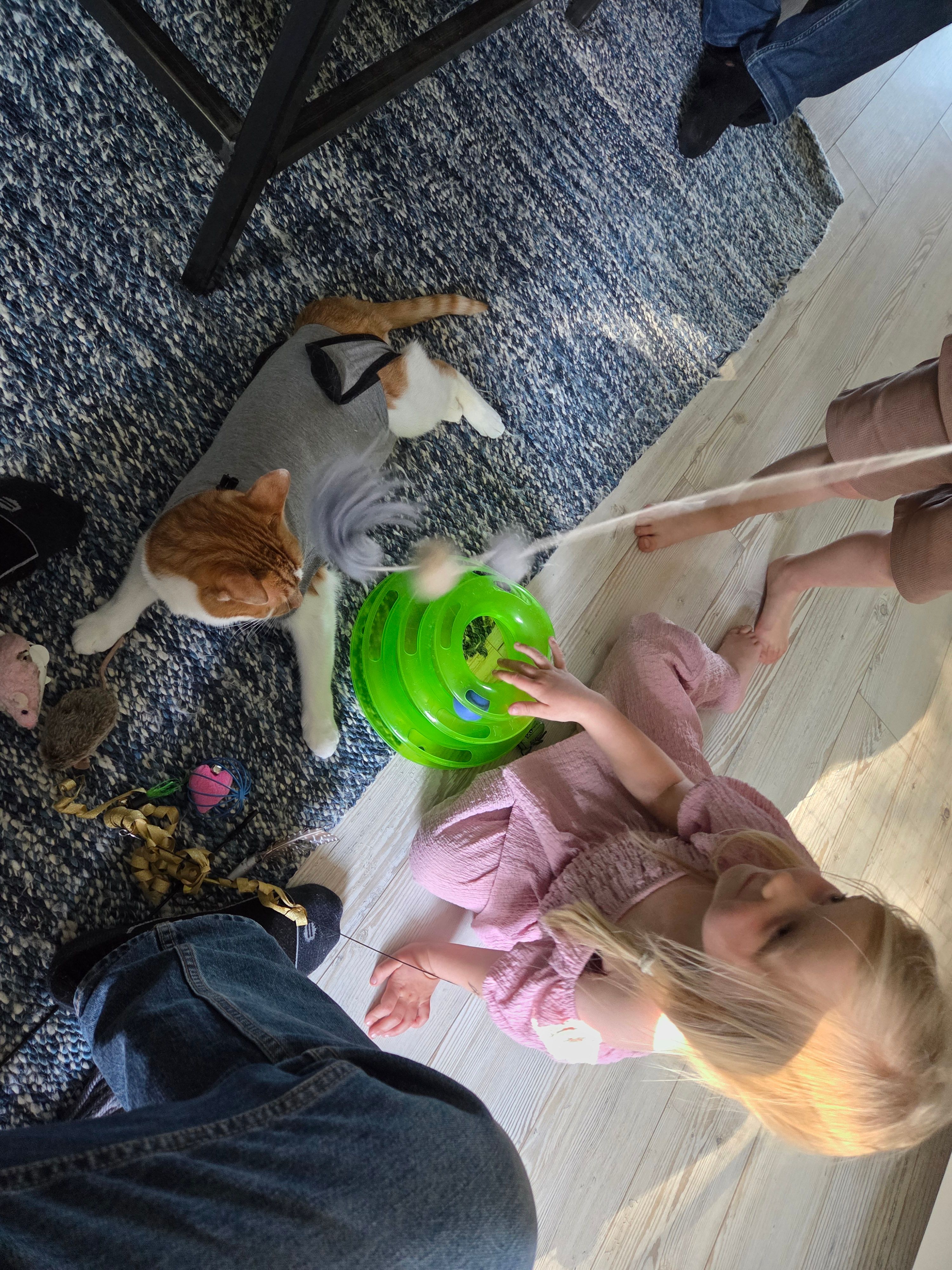 image-5
