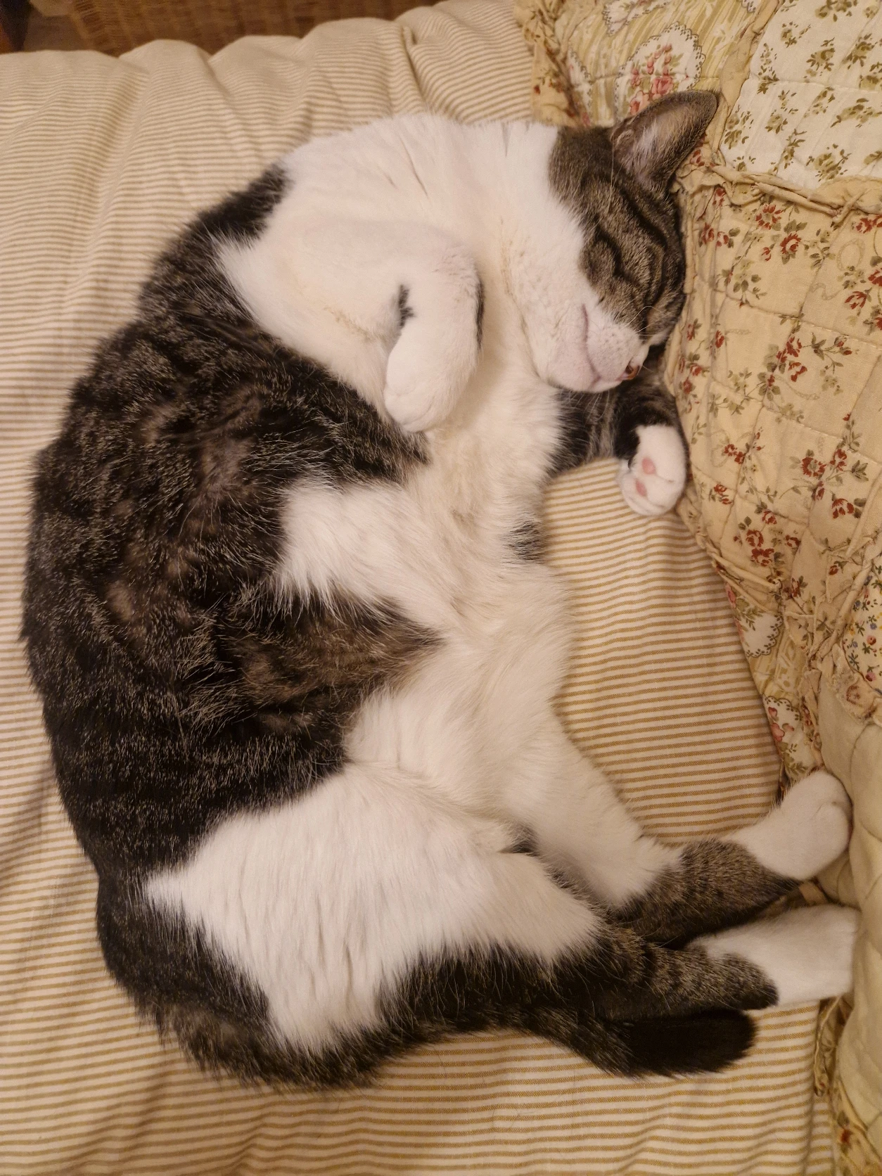 image-2