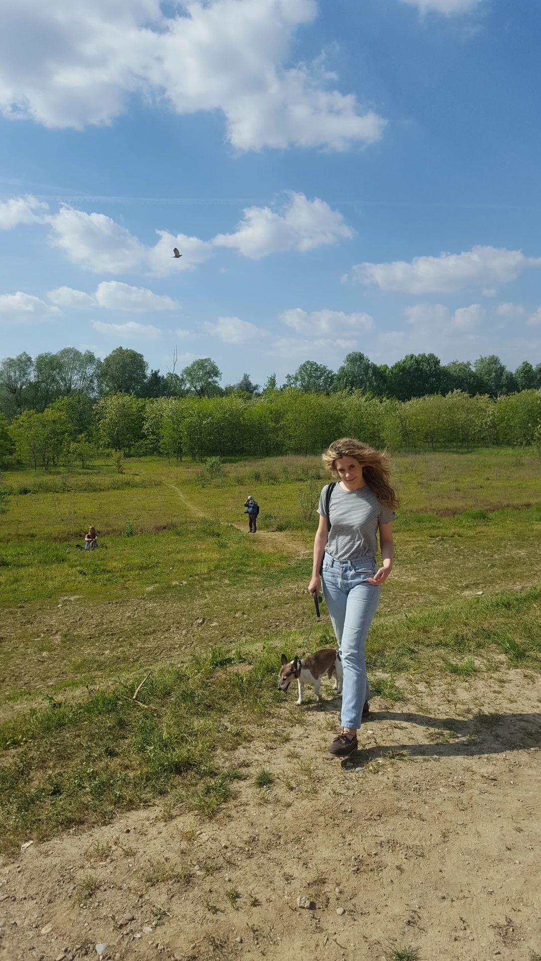 image-4