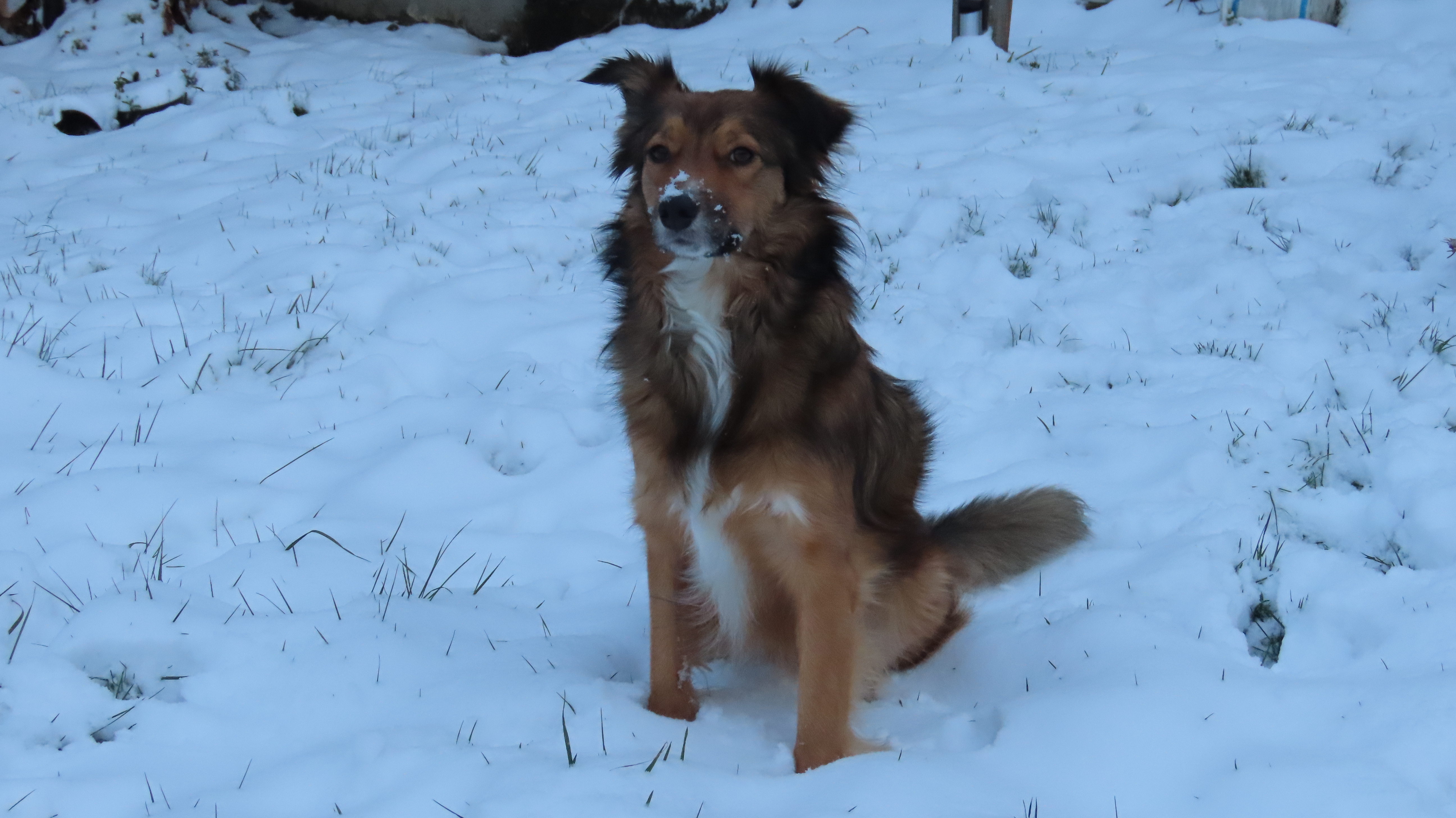 image-6