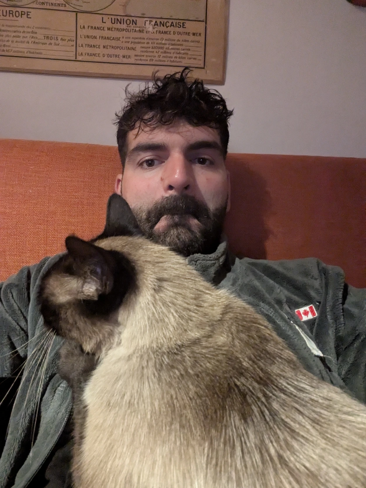 image-7