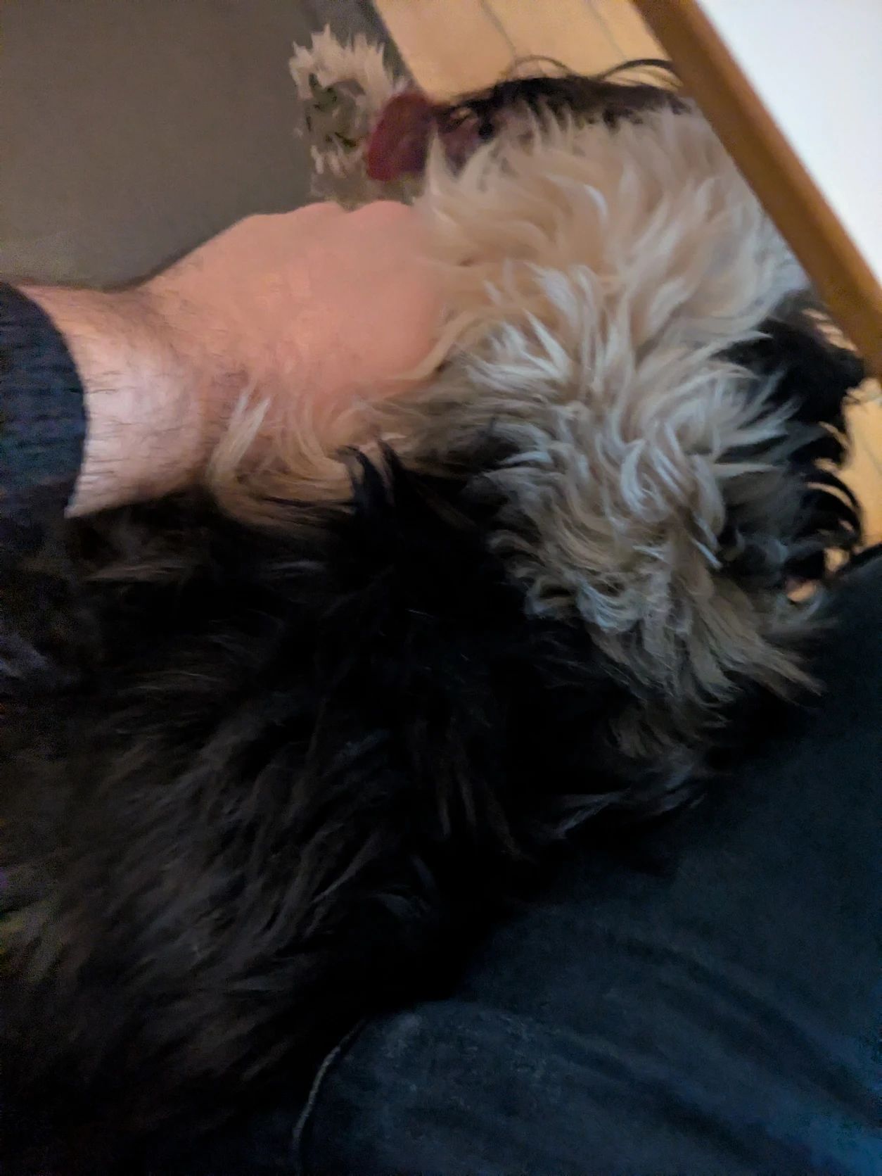 image-6