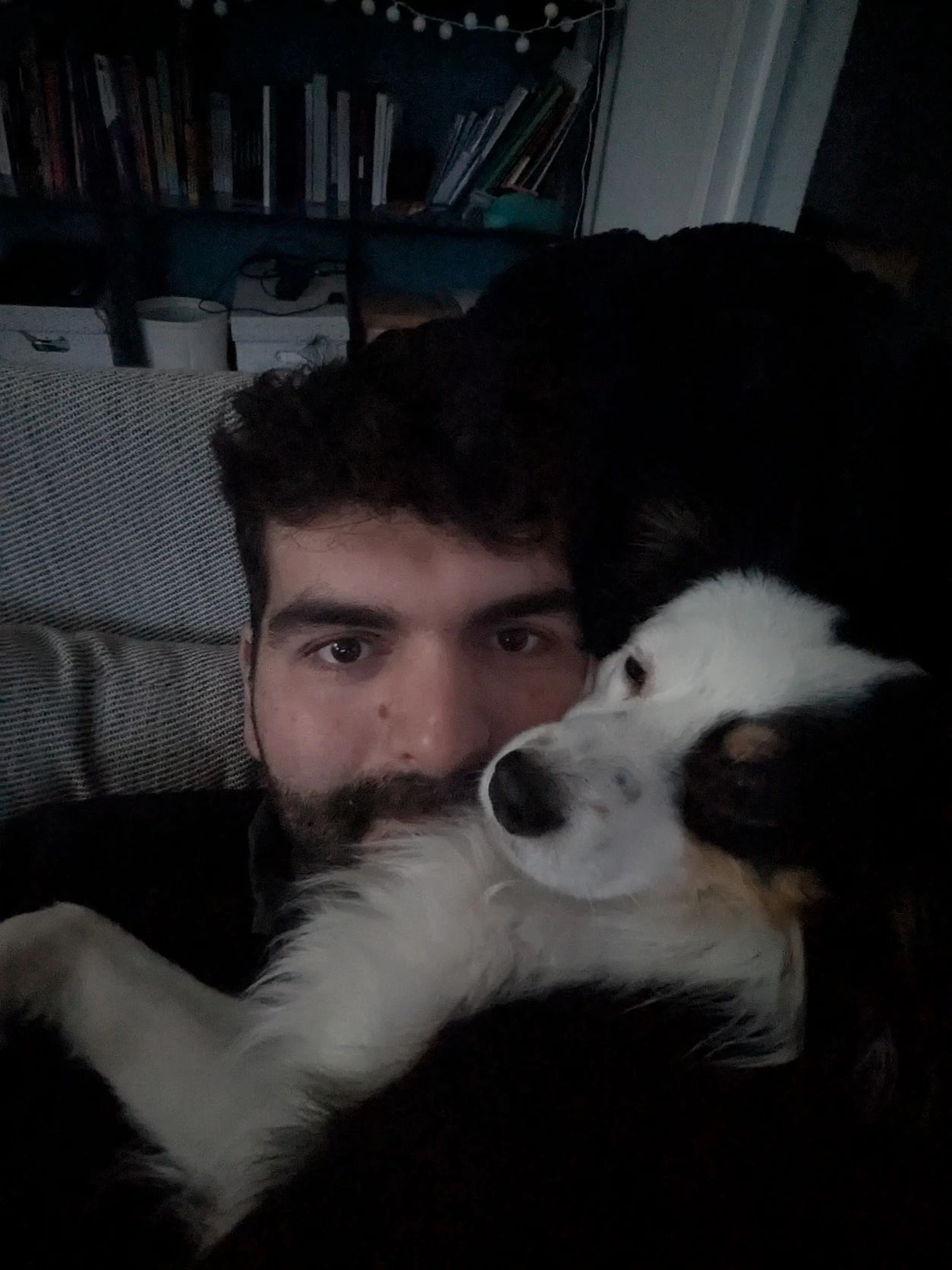 image-8
