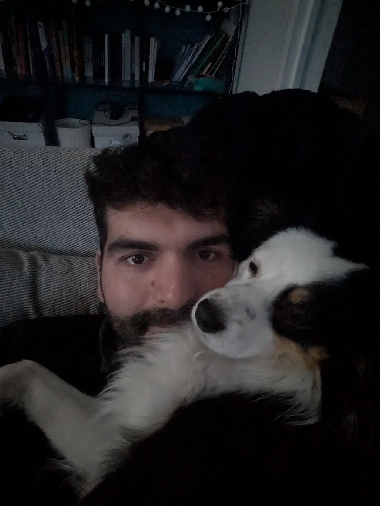 image-8