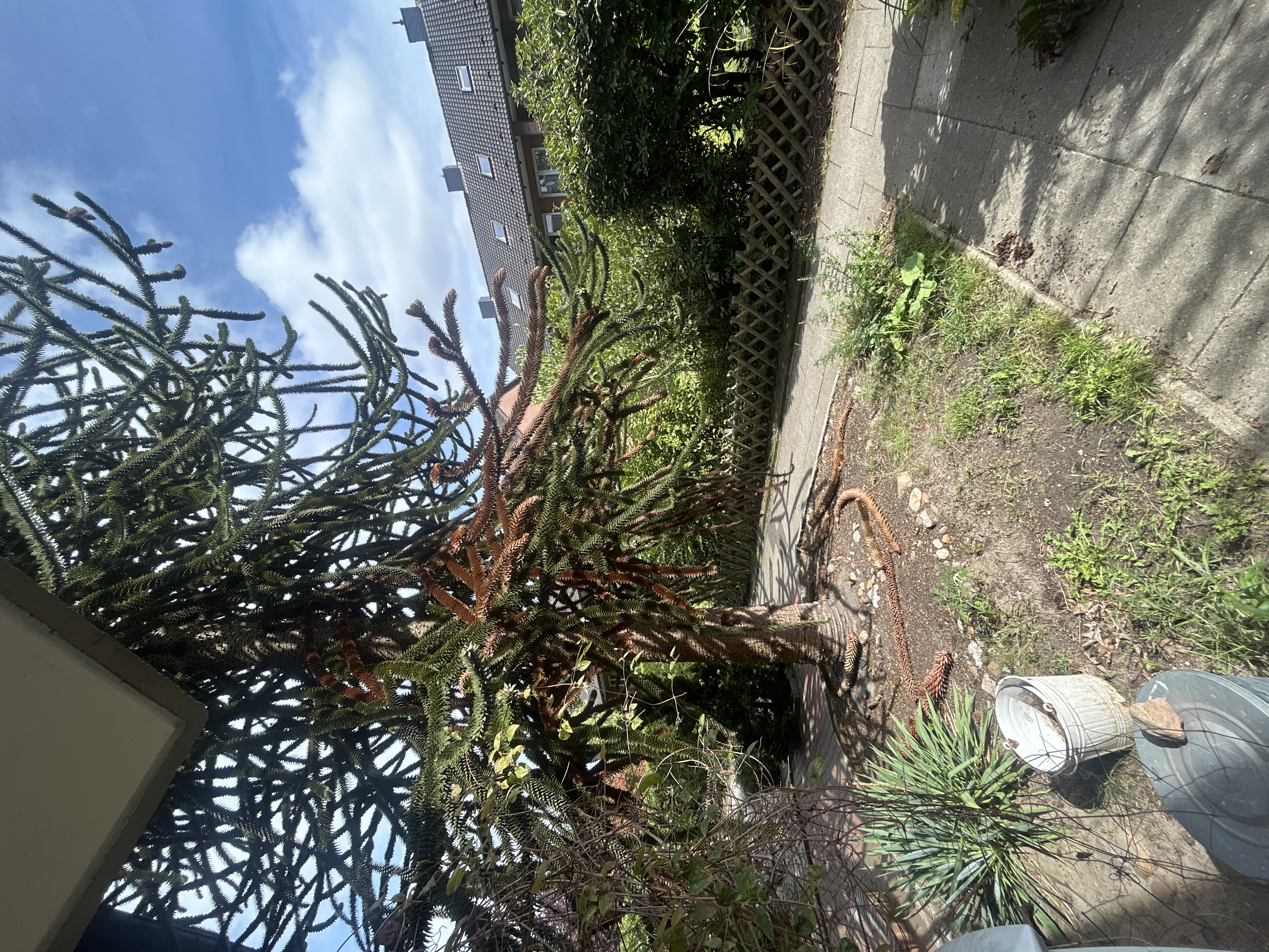 image-20