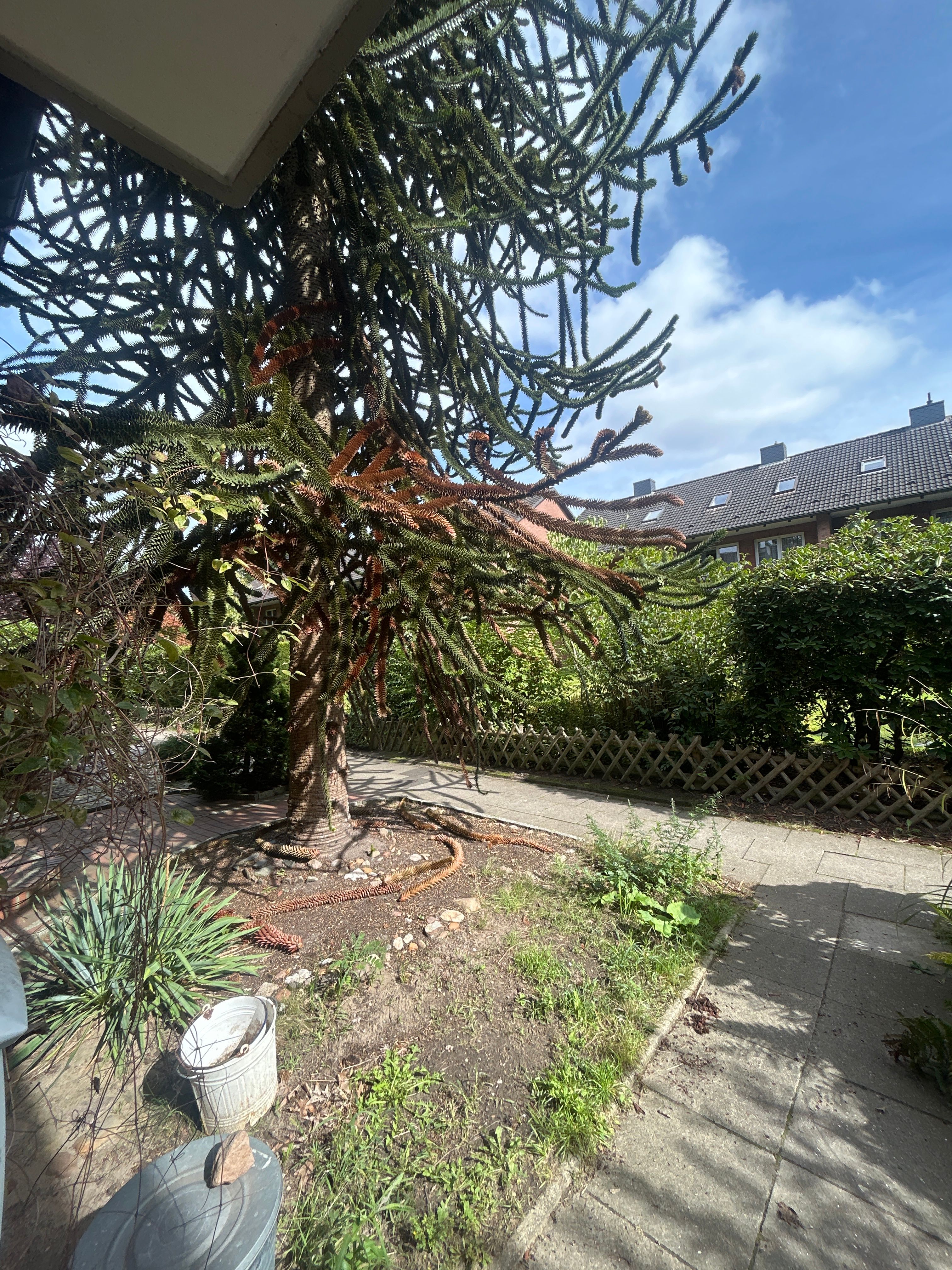 image-20
