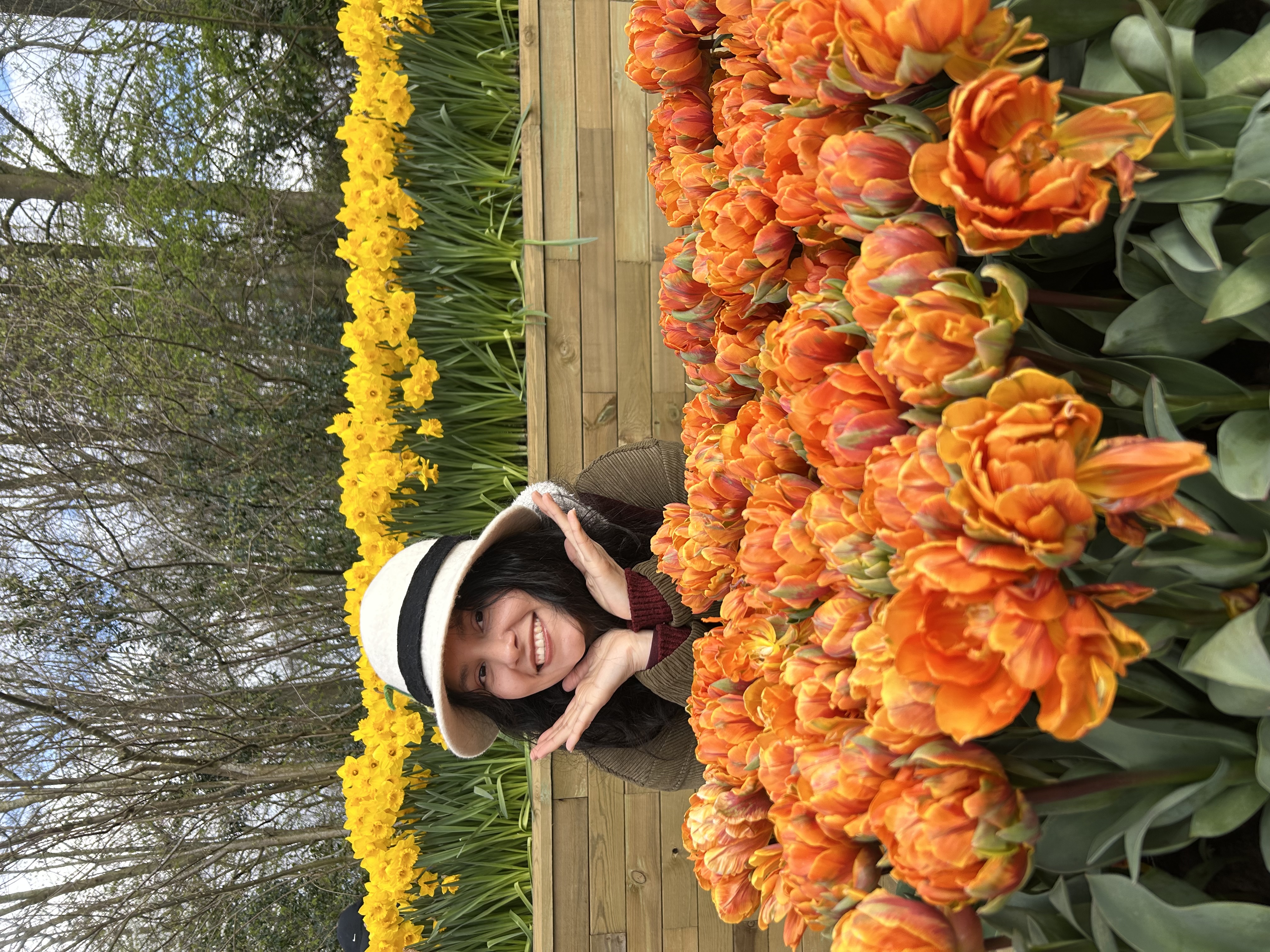 image-7