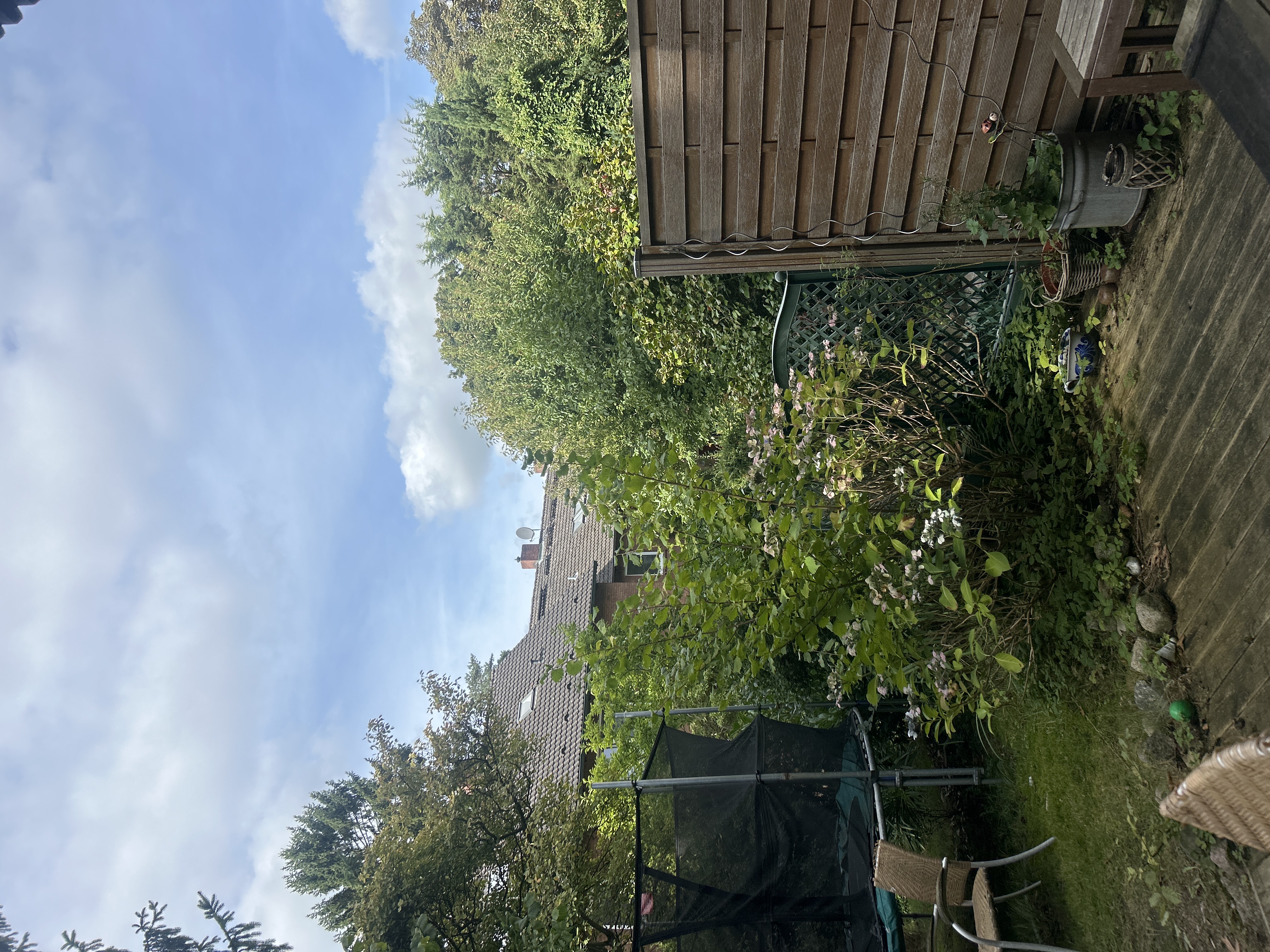 image-18