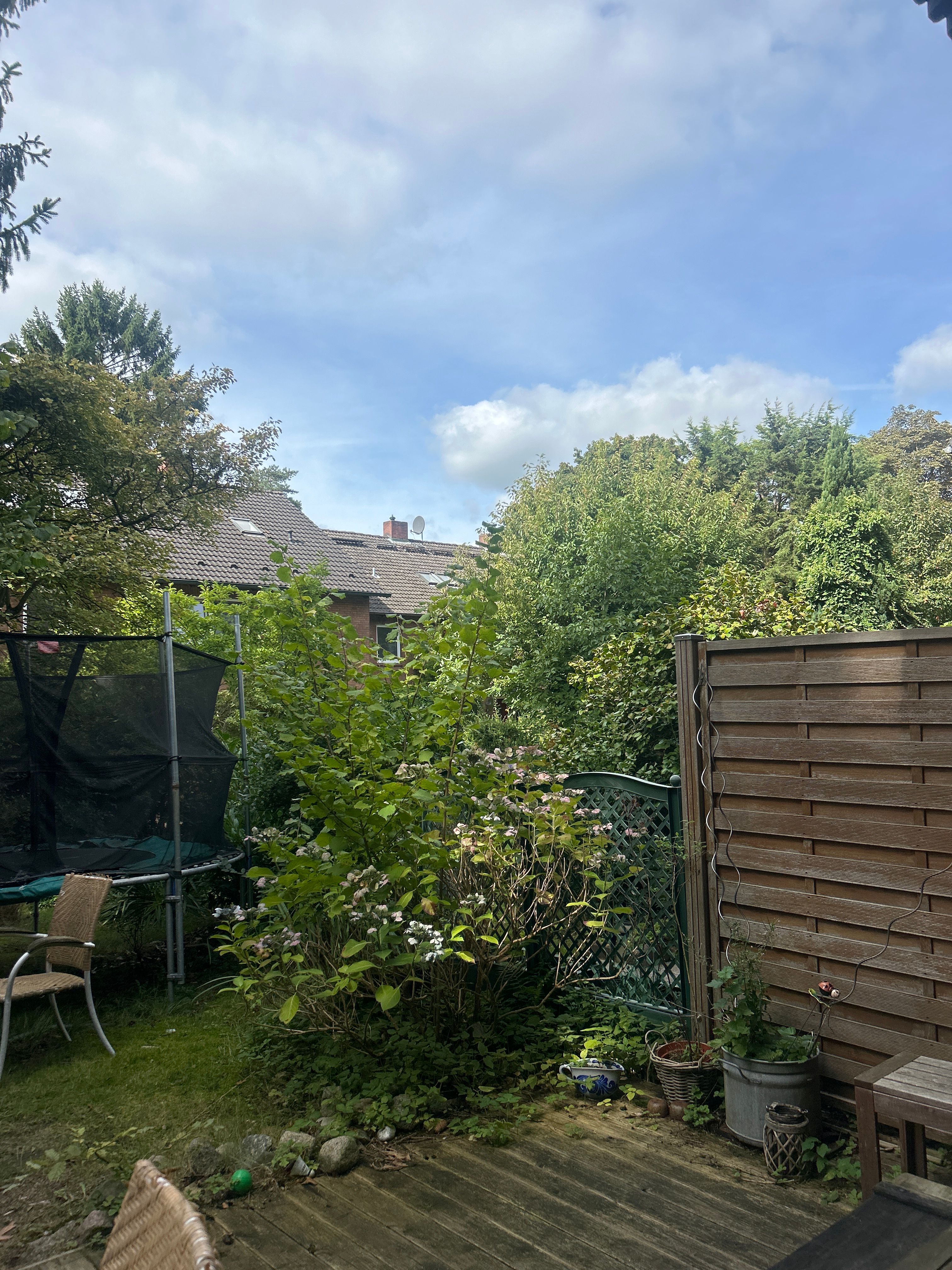 image-18