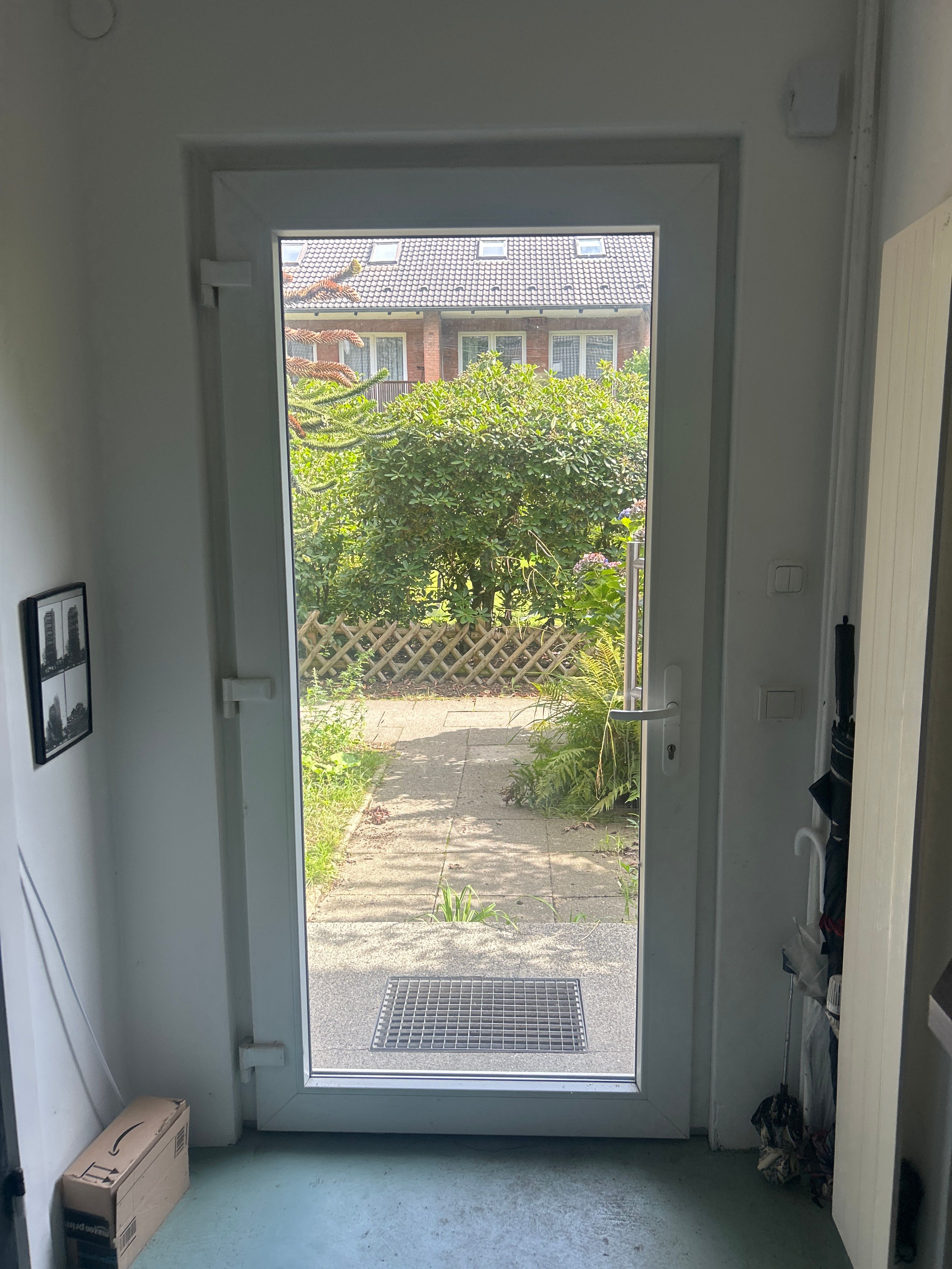 image-19