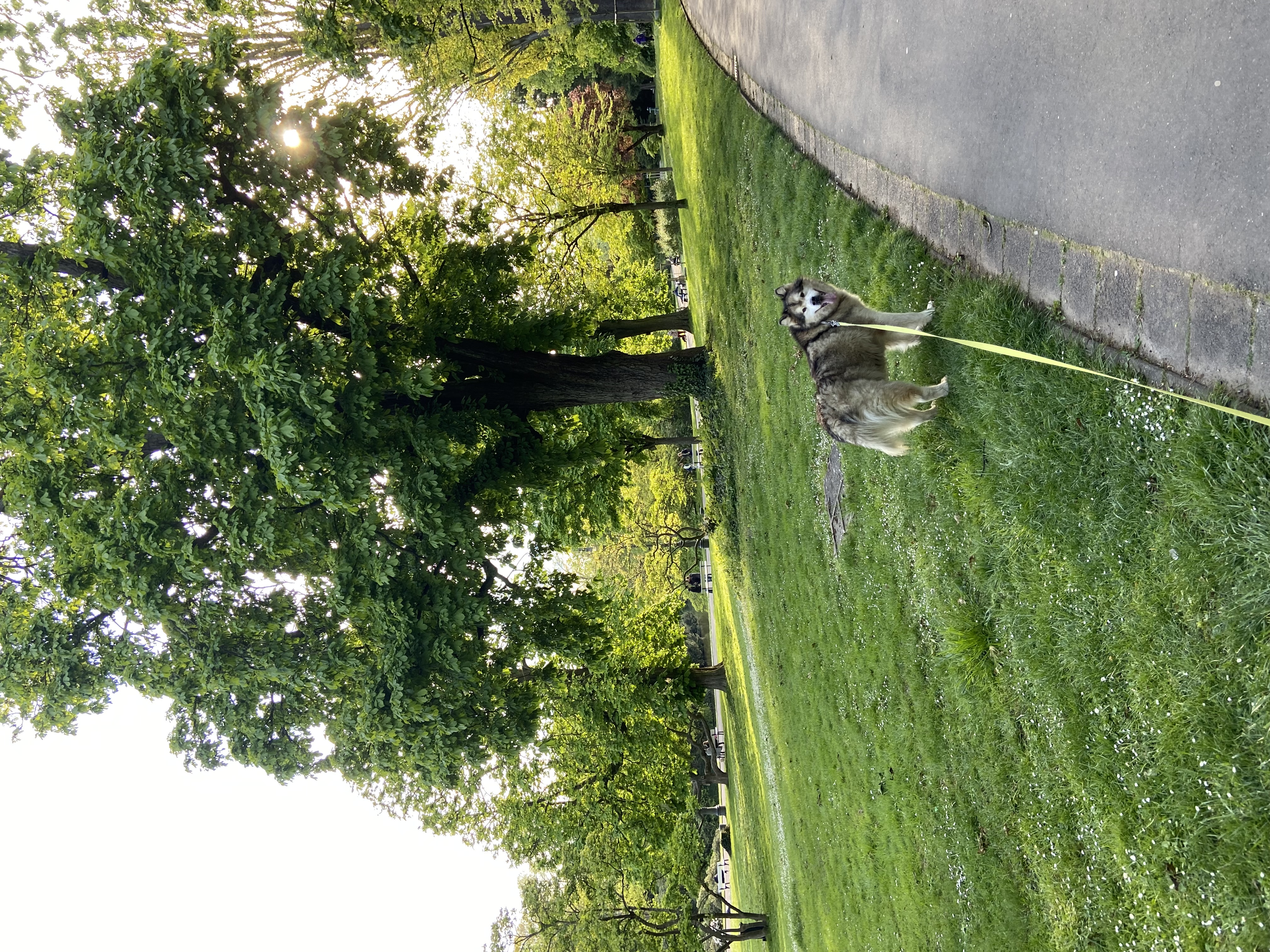 image-12