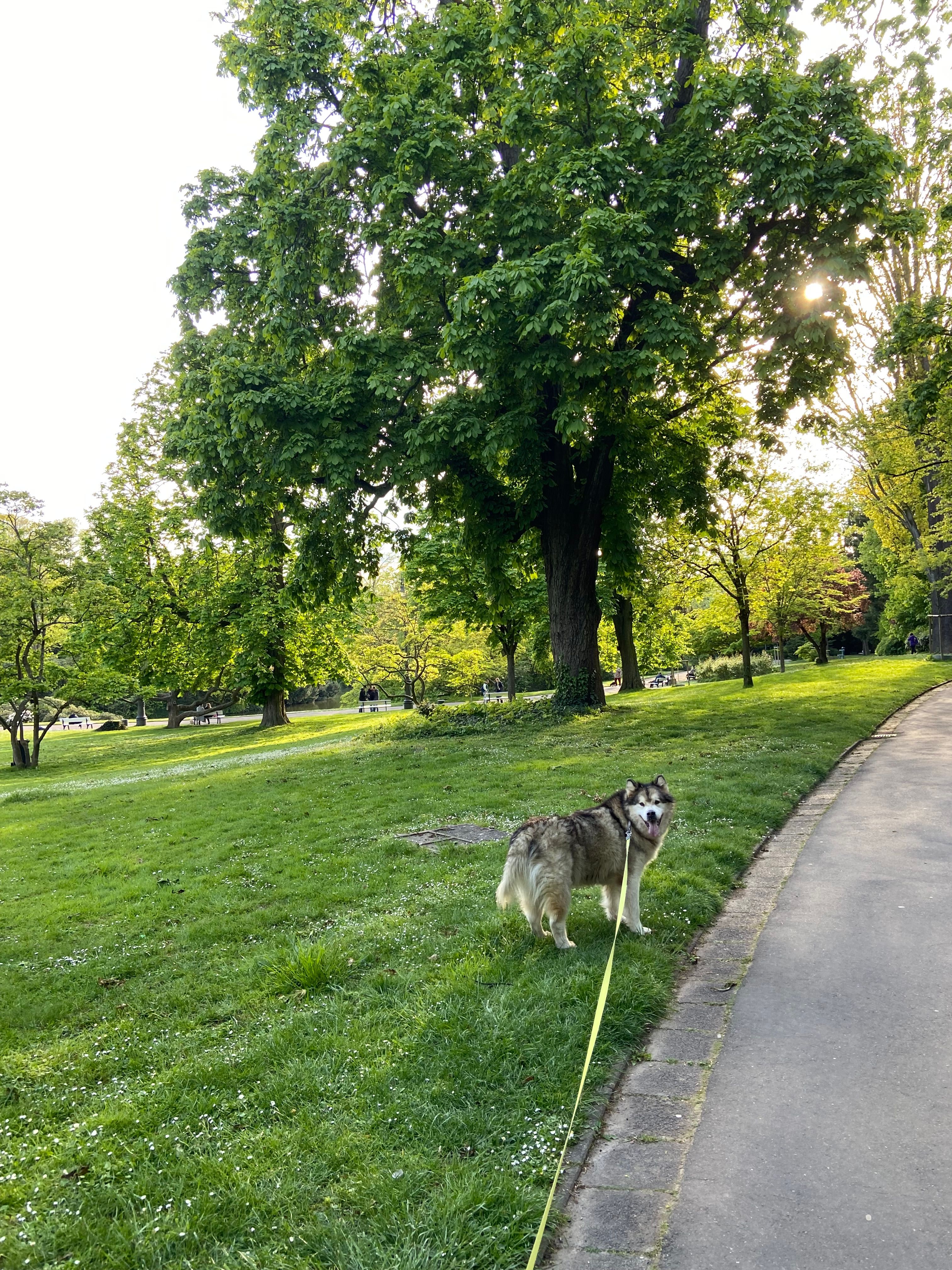 image-12