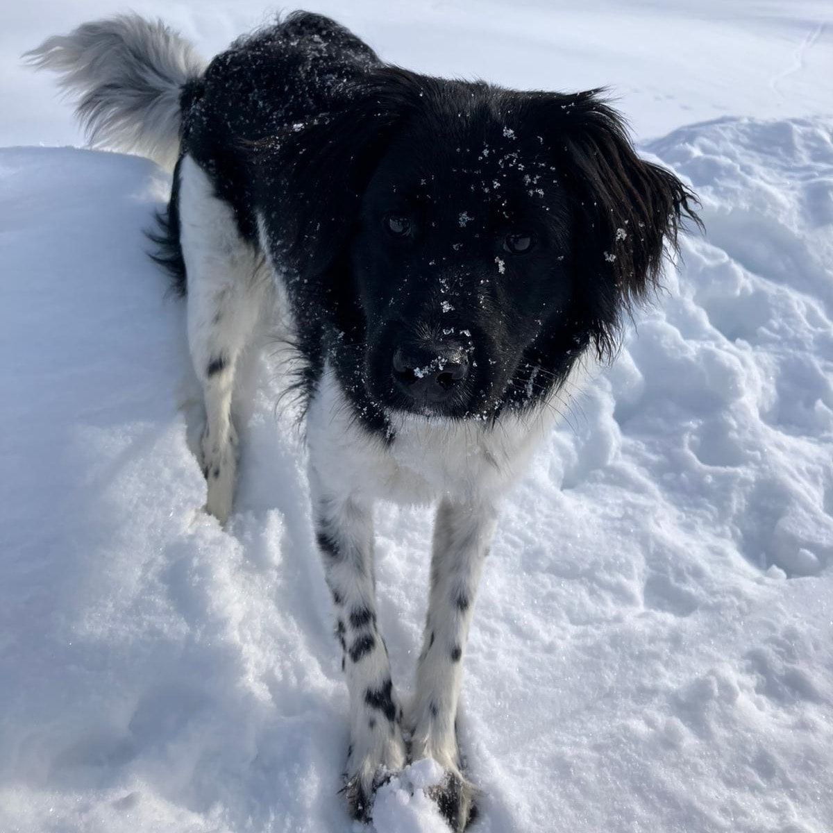 Sebastian
