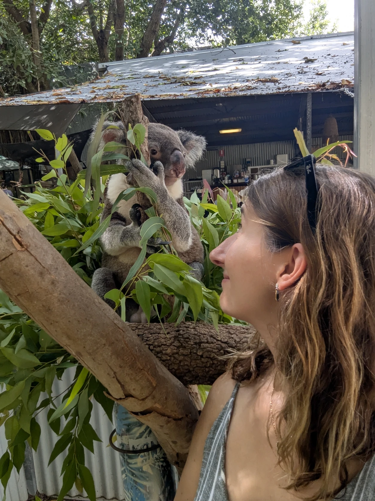 image-8