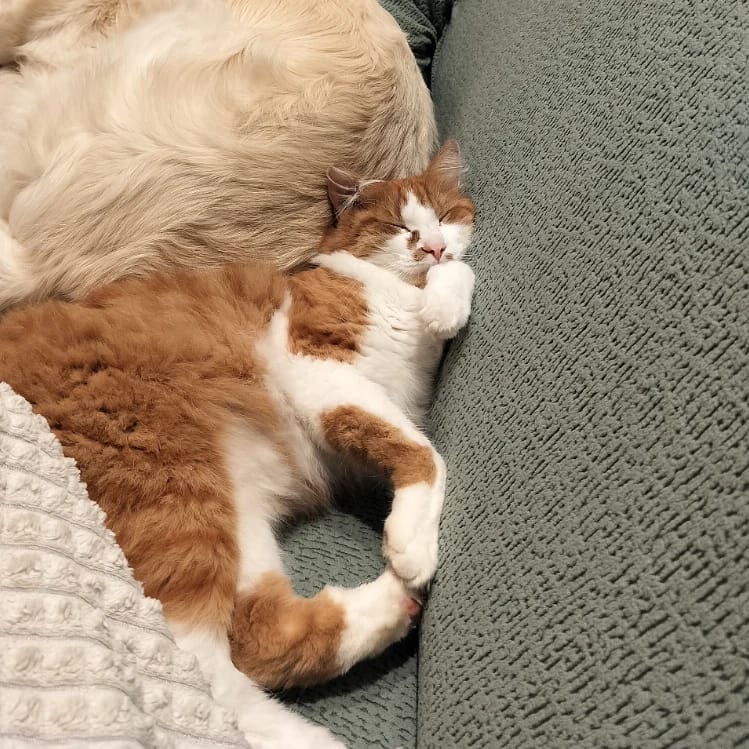 Billy