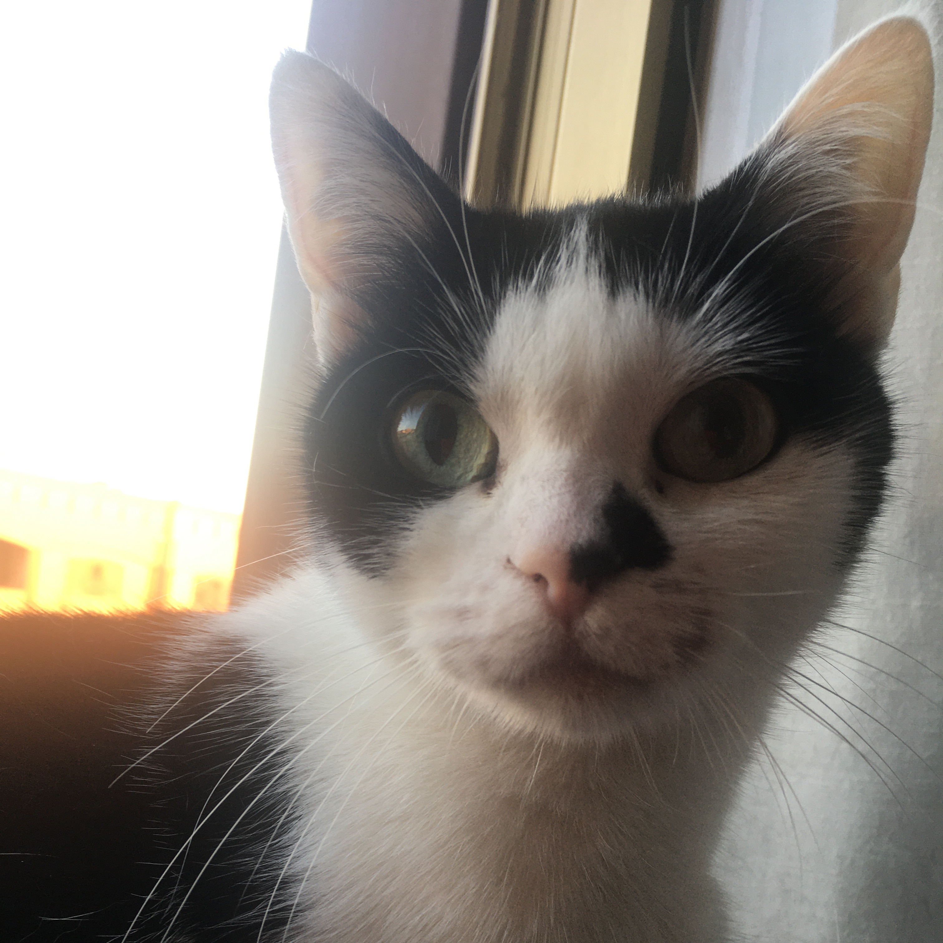 Maggie