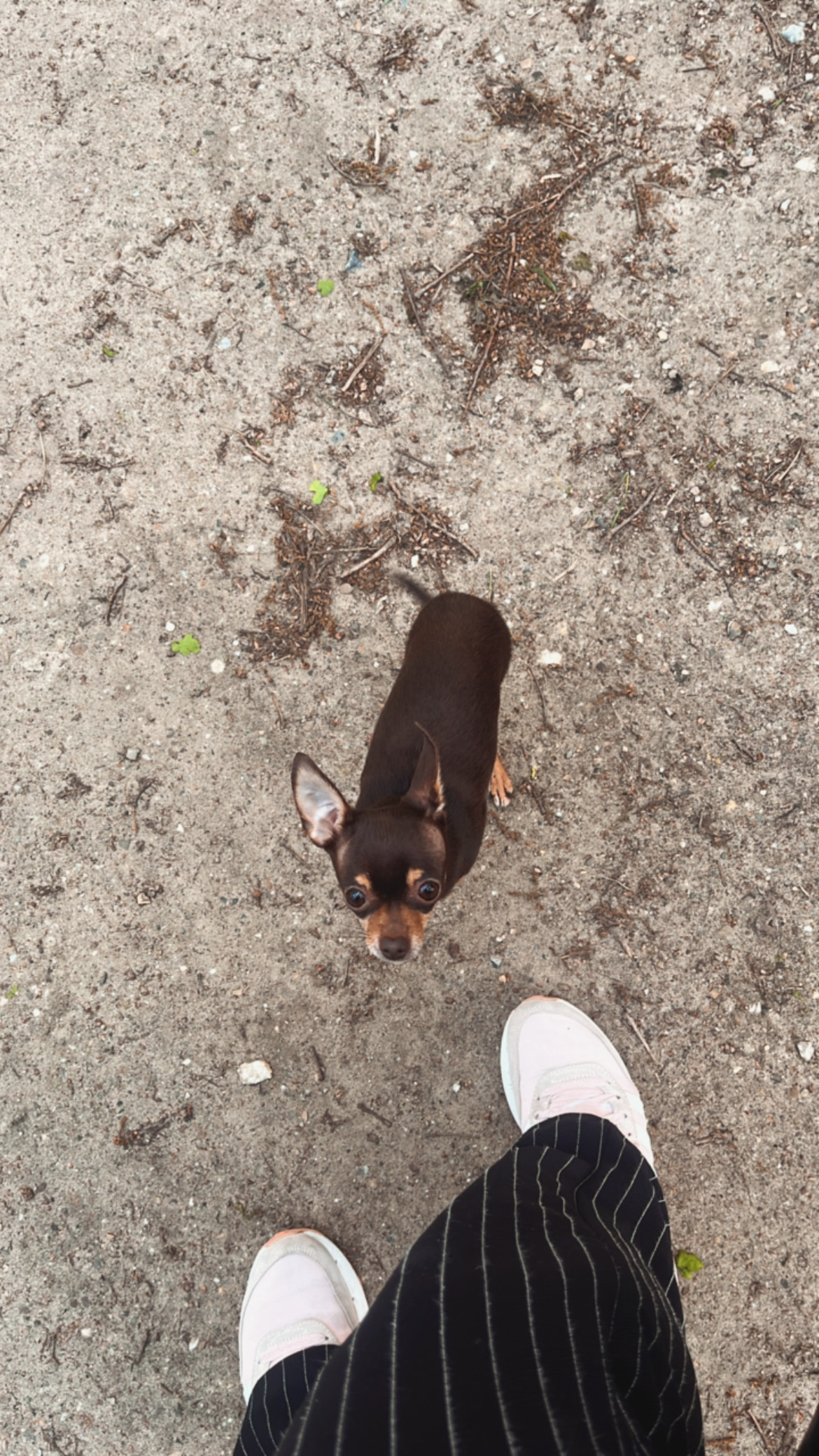 image-5