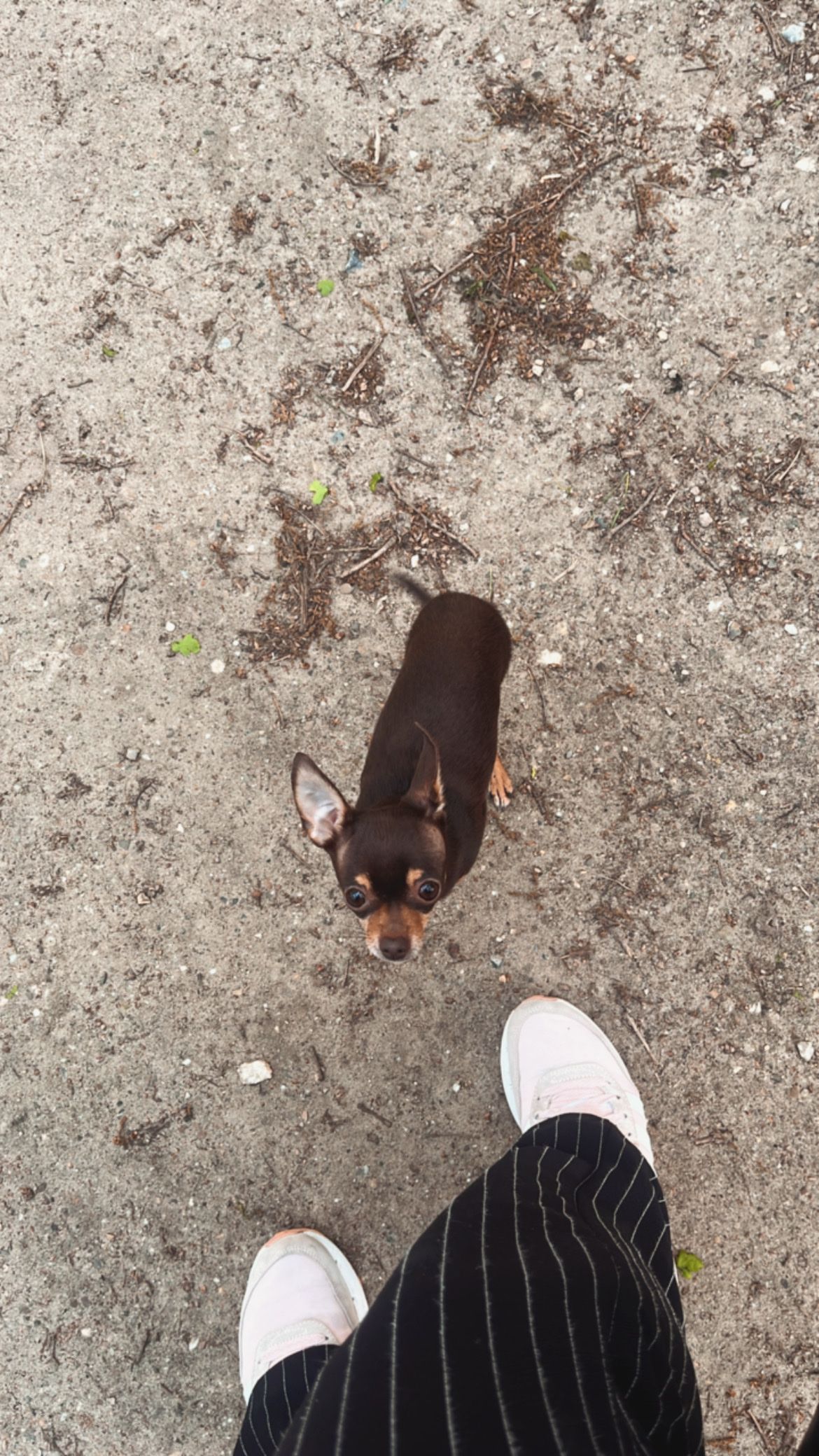 image-5