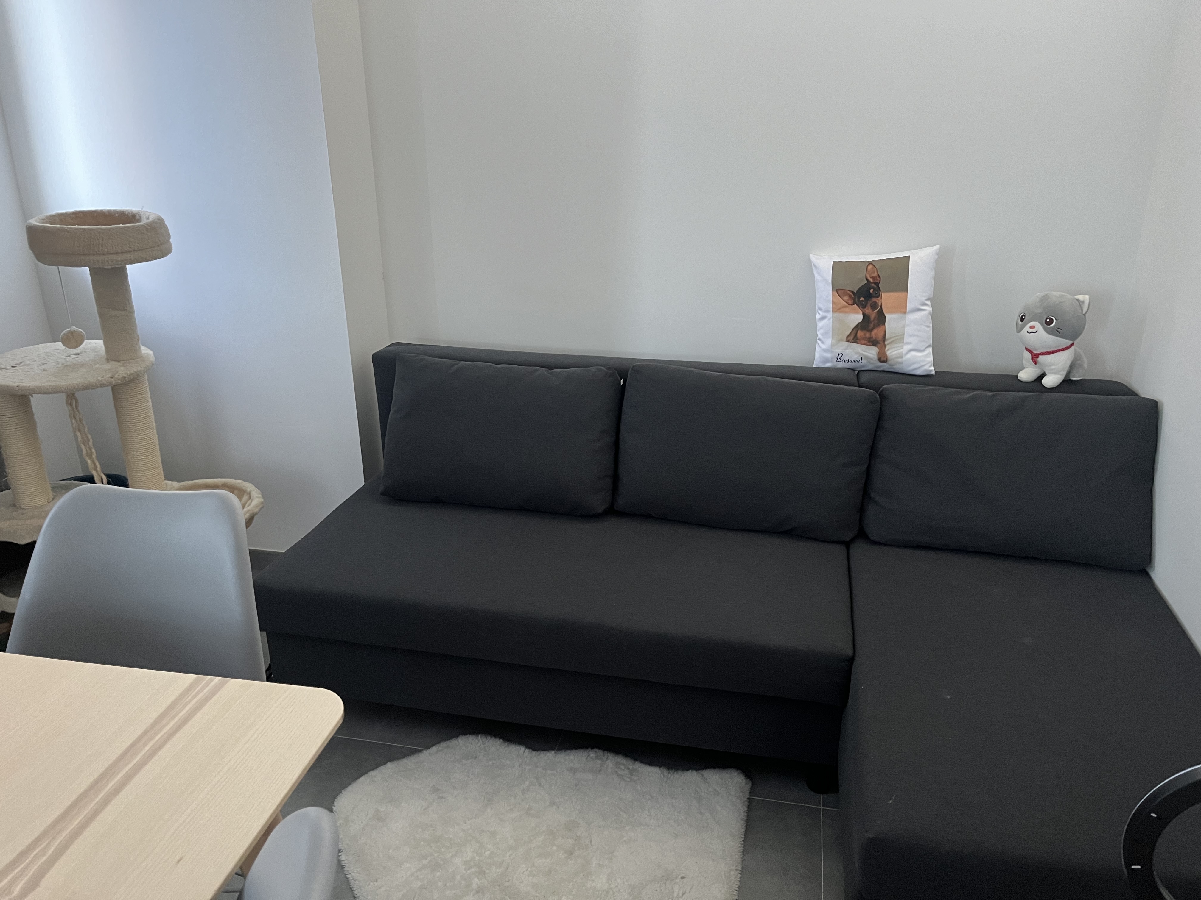 image-19