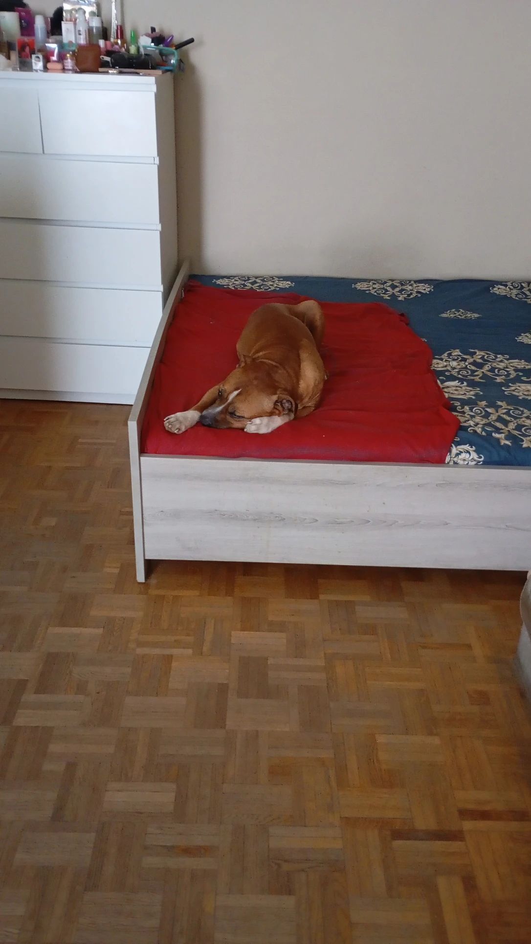 image-23