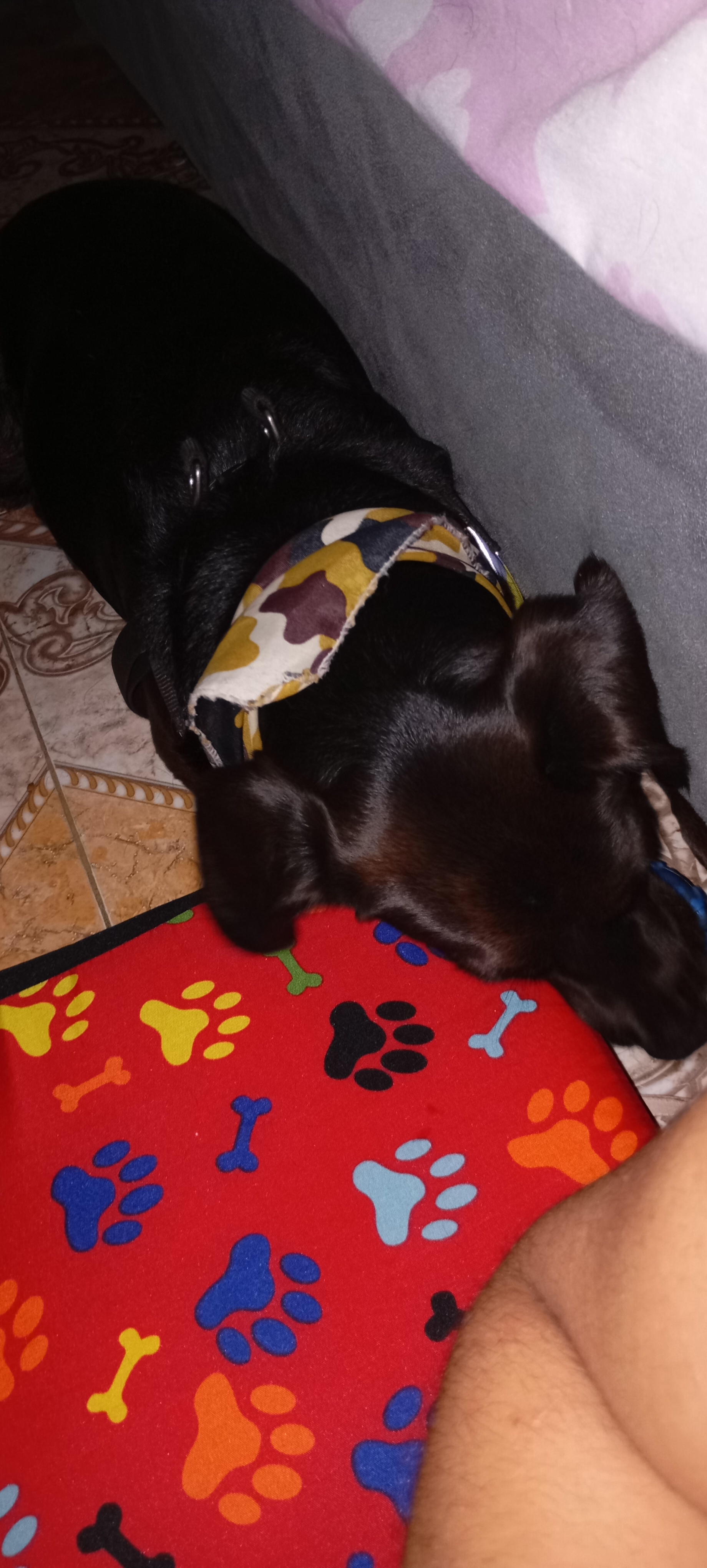 image-3