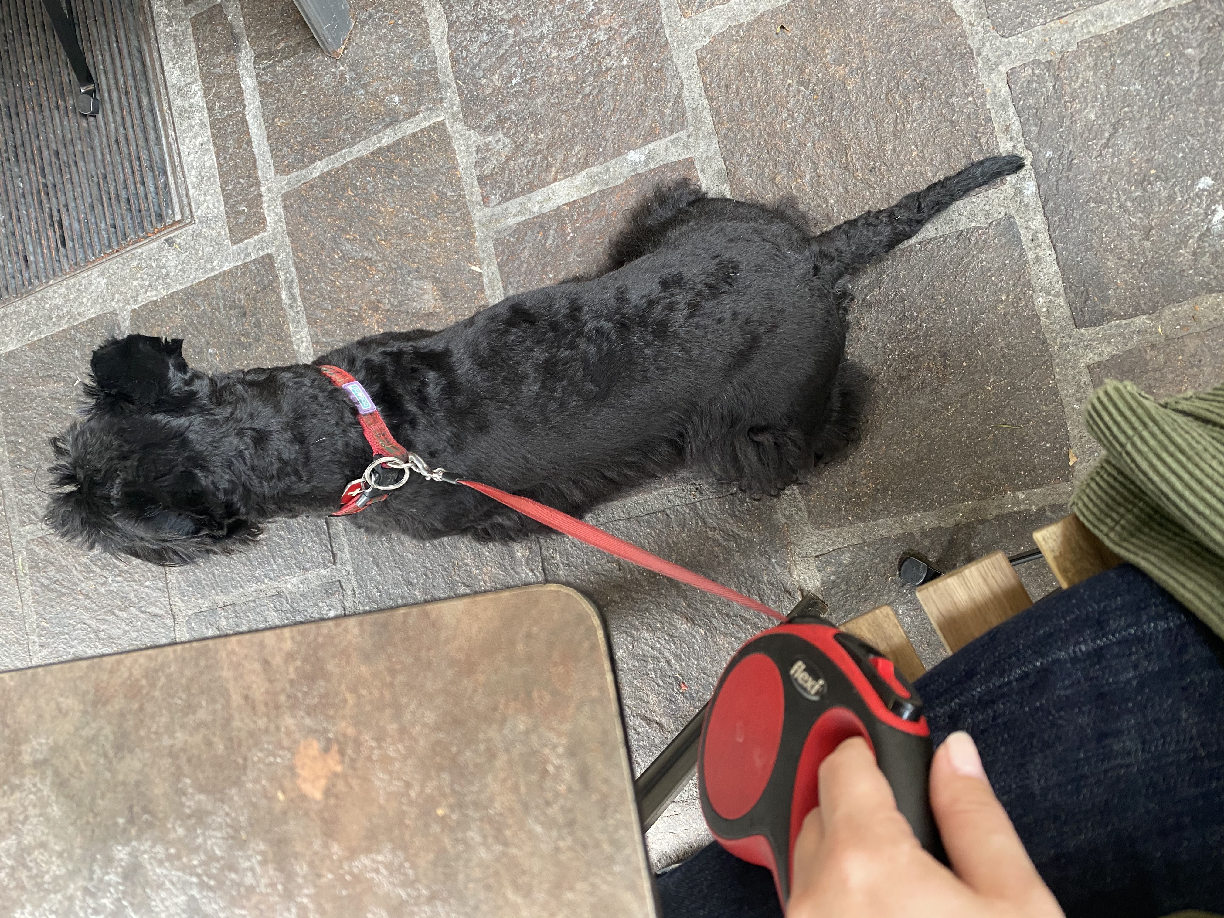 image-12