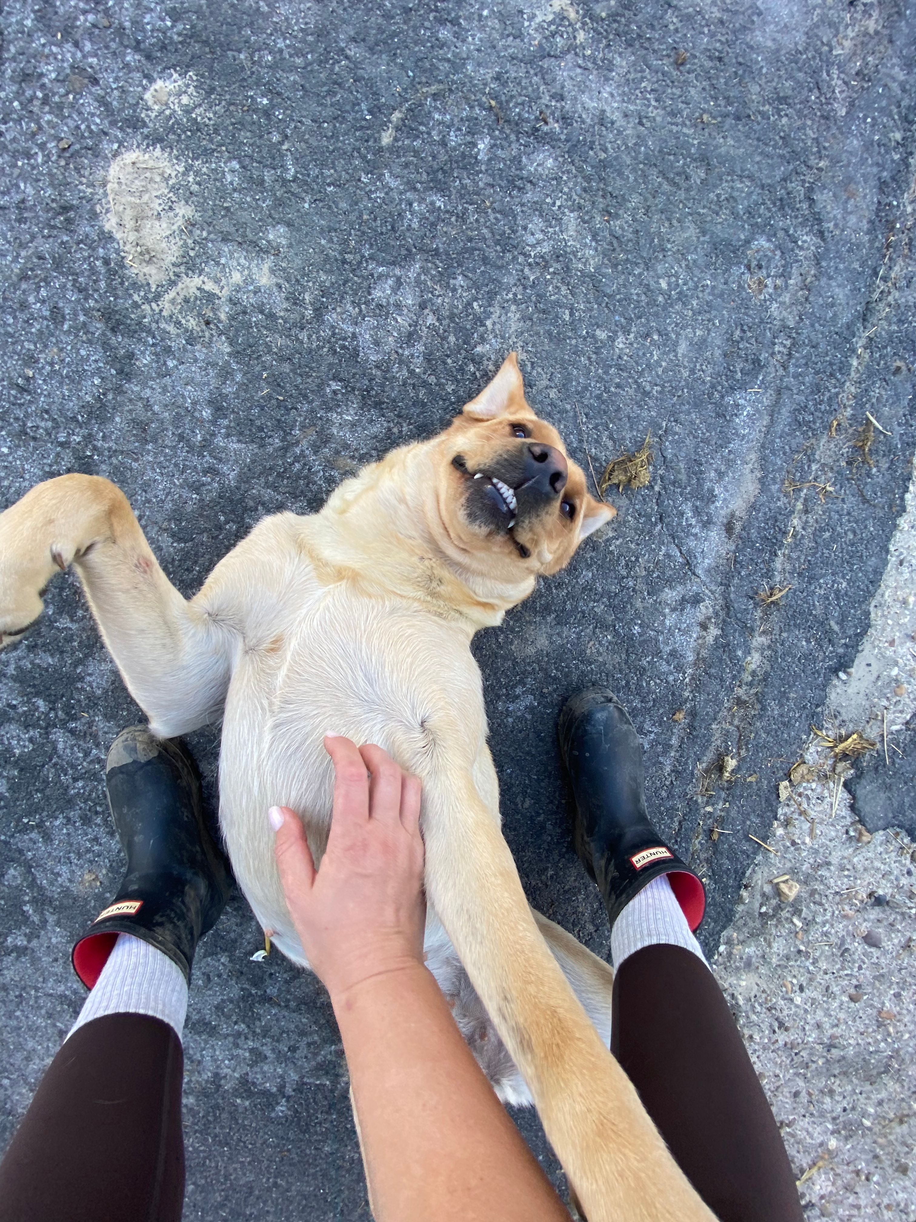 image-6